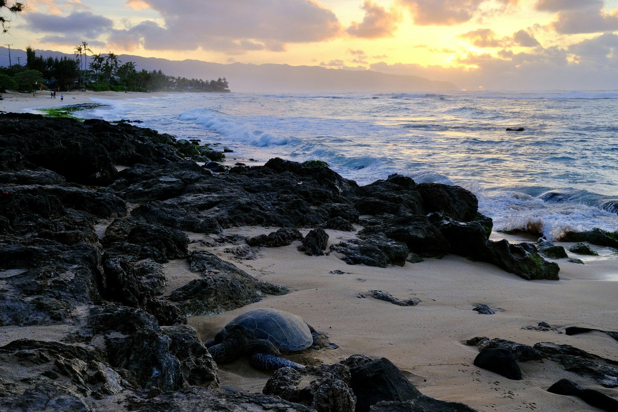 A Beach on Oahu's North Shore