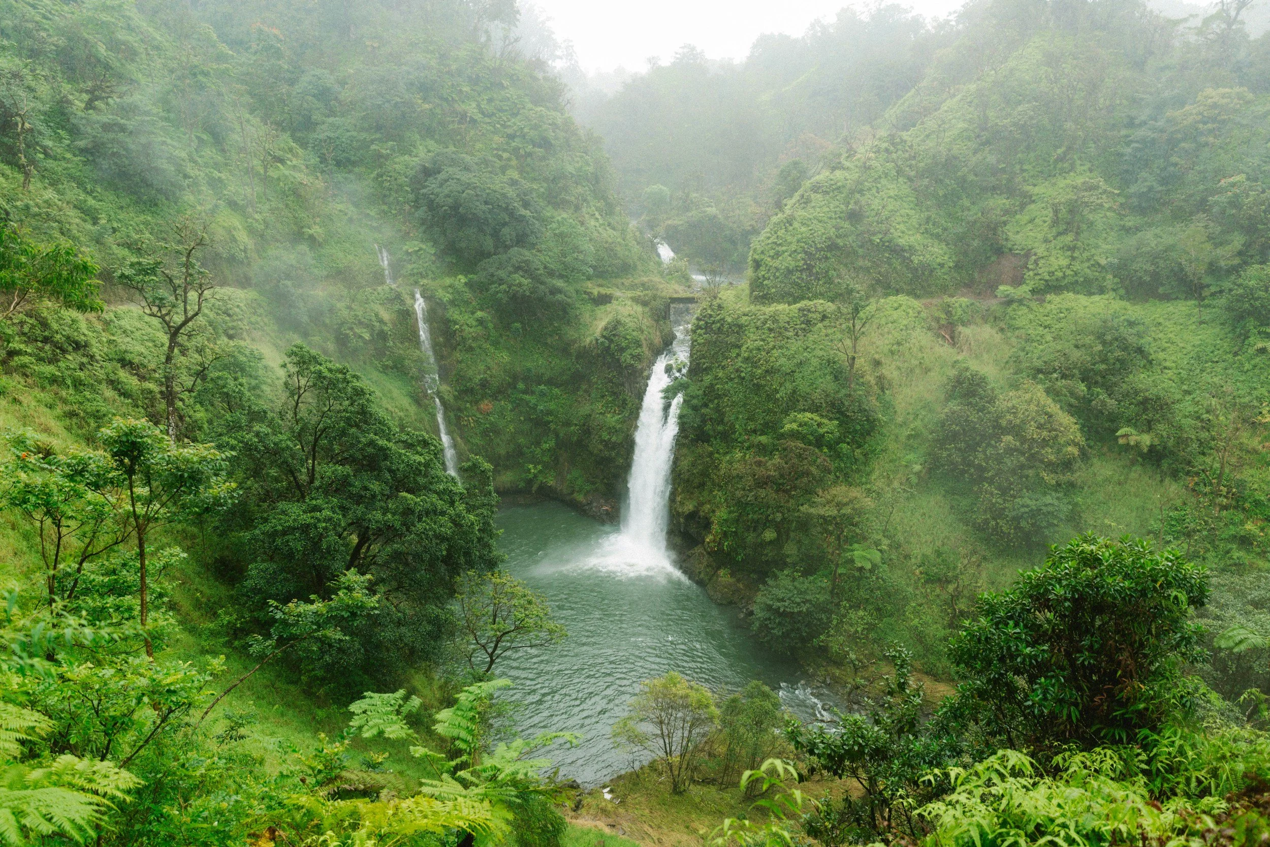 a lush green waterfall along the Road to Hana in Maui