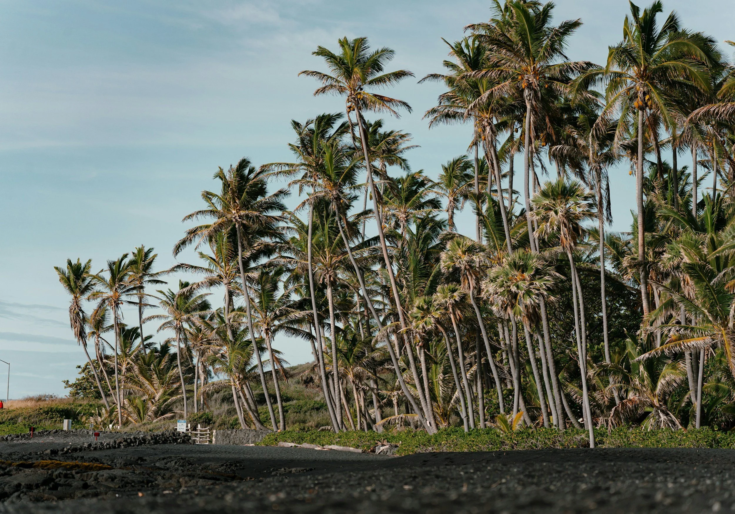 the Punalu'u Black Sand Beach on the Big Island of Hawaii