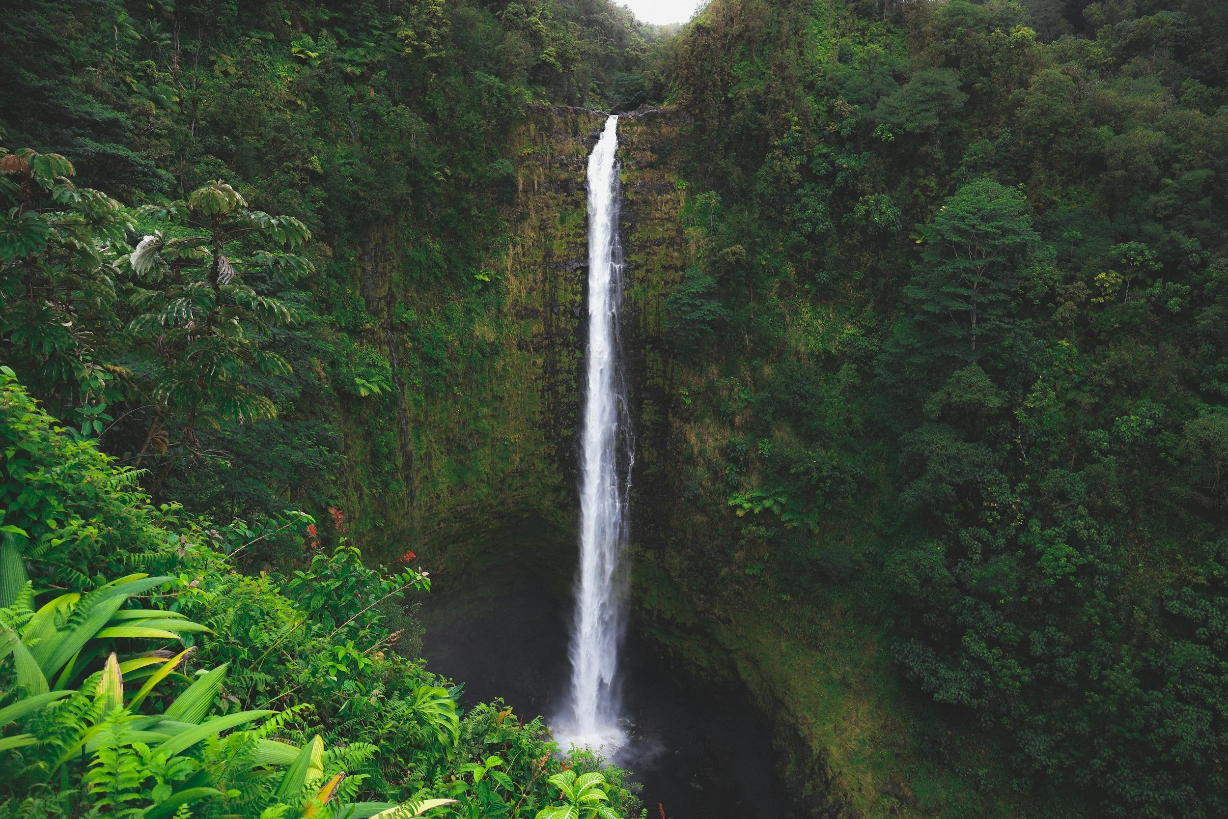 a tall waterfall on the Big Island of Hawaii