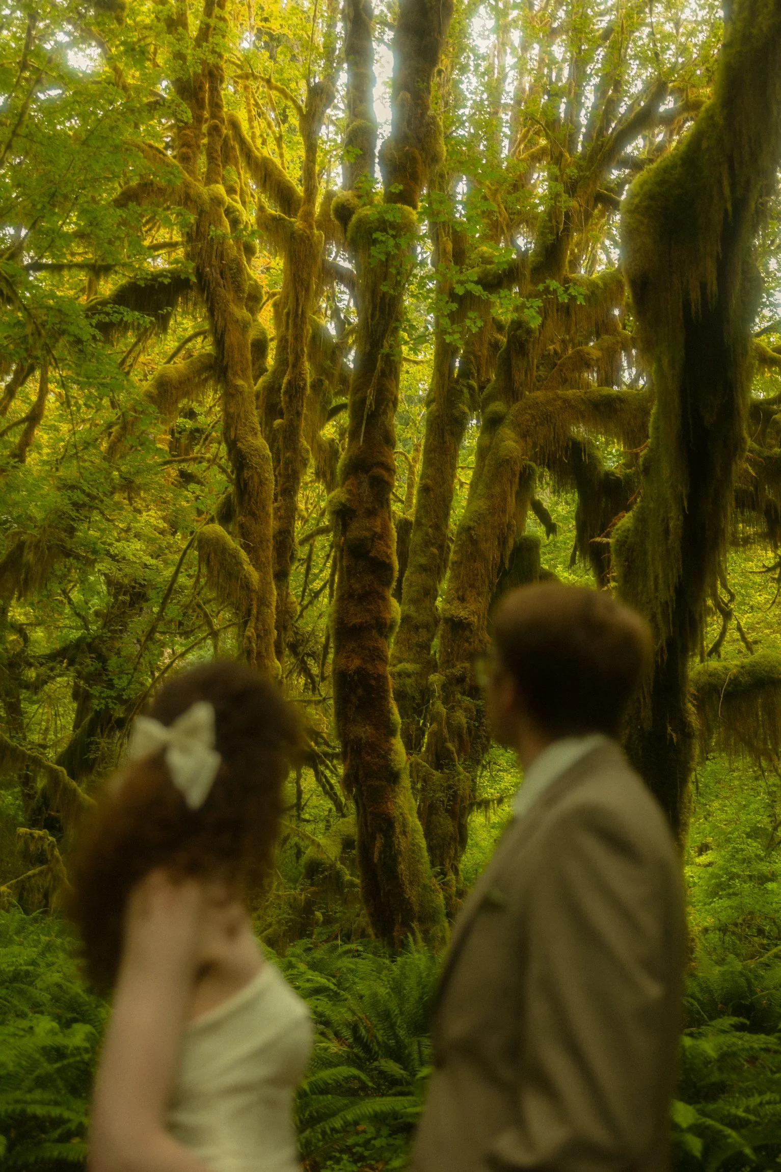 Olympic-National-Park-Elopement.jpg