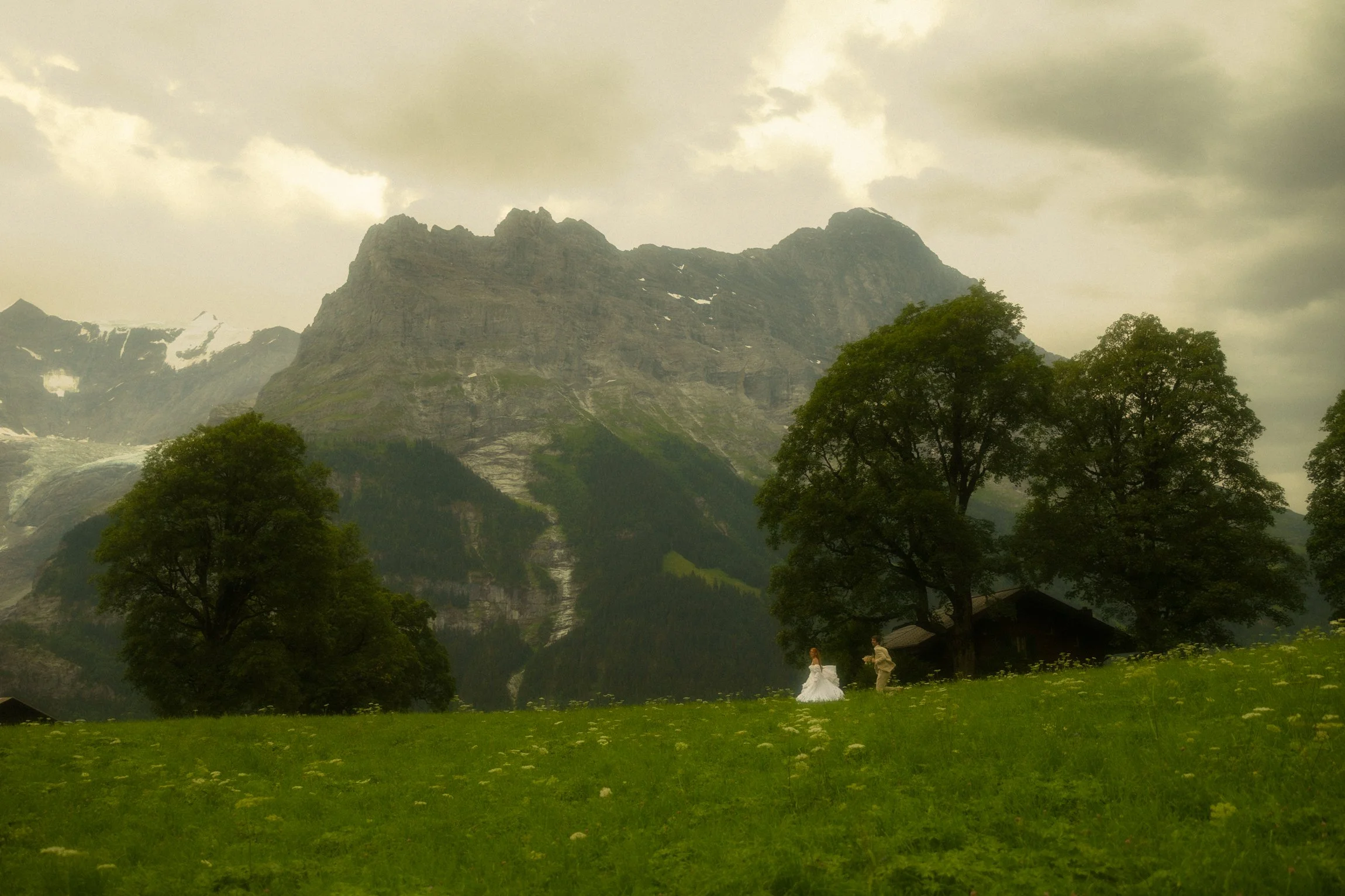 a couple eloping in a field in the Swiss Alps