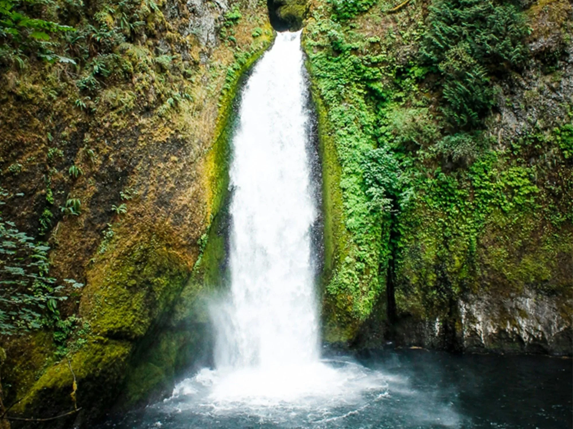 a landscape photo of Wahclella Falls in the Columbia River Gorge located in Oregon