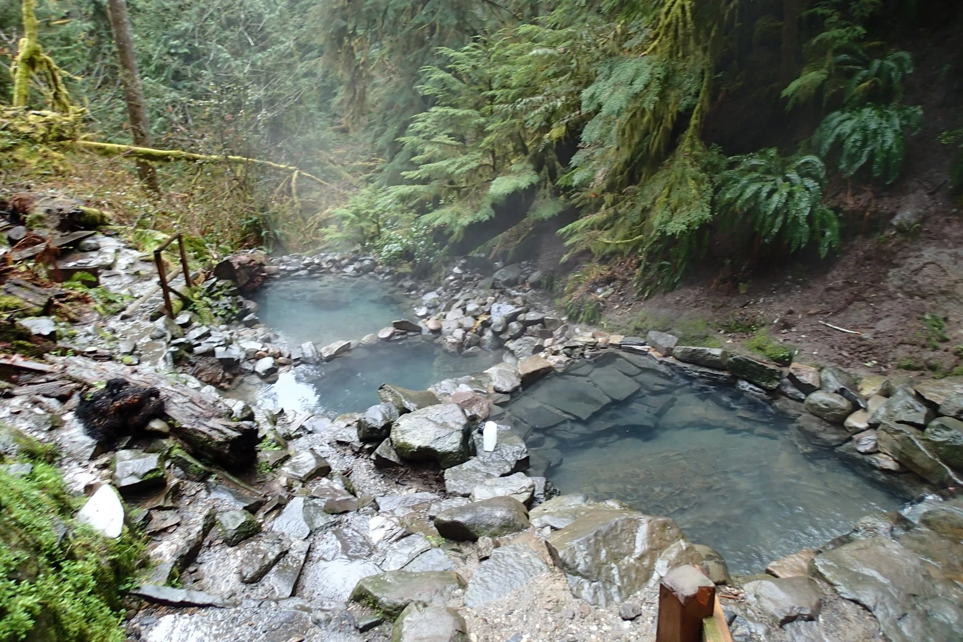 Cougar Hot Springs in Oregon