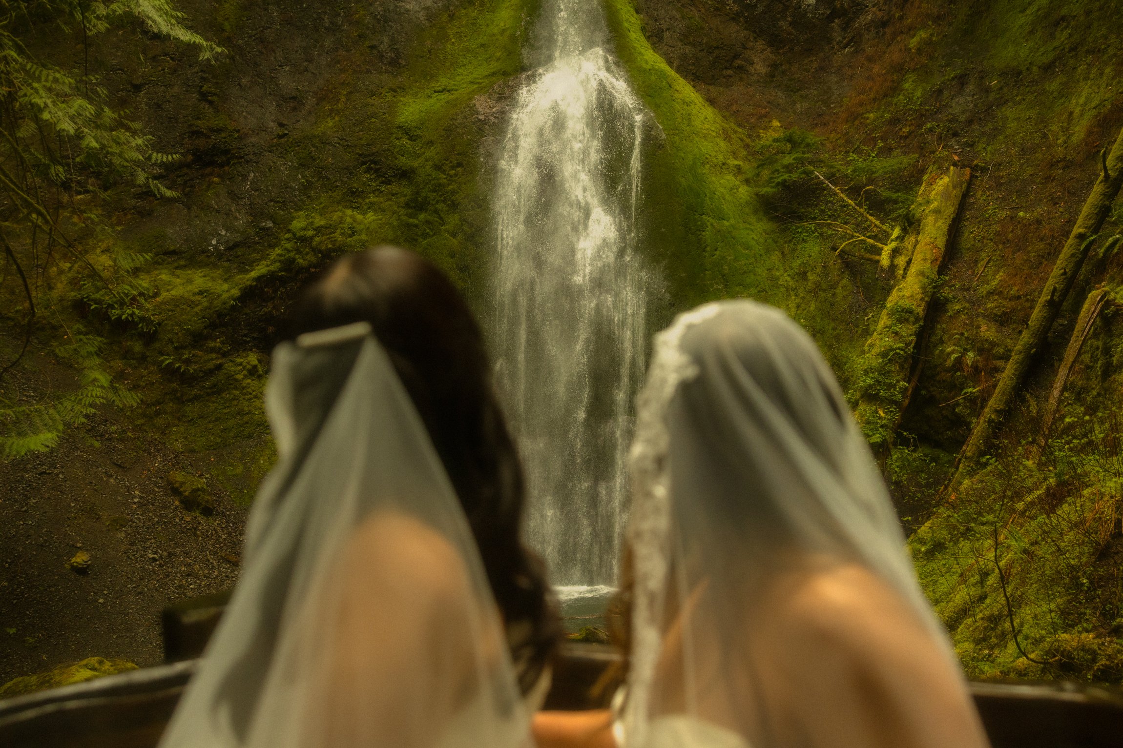 an lgbtq+ lesbian moody olympic national park elopement in Washington state