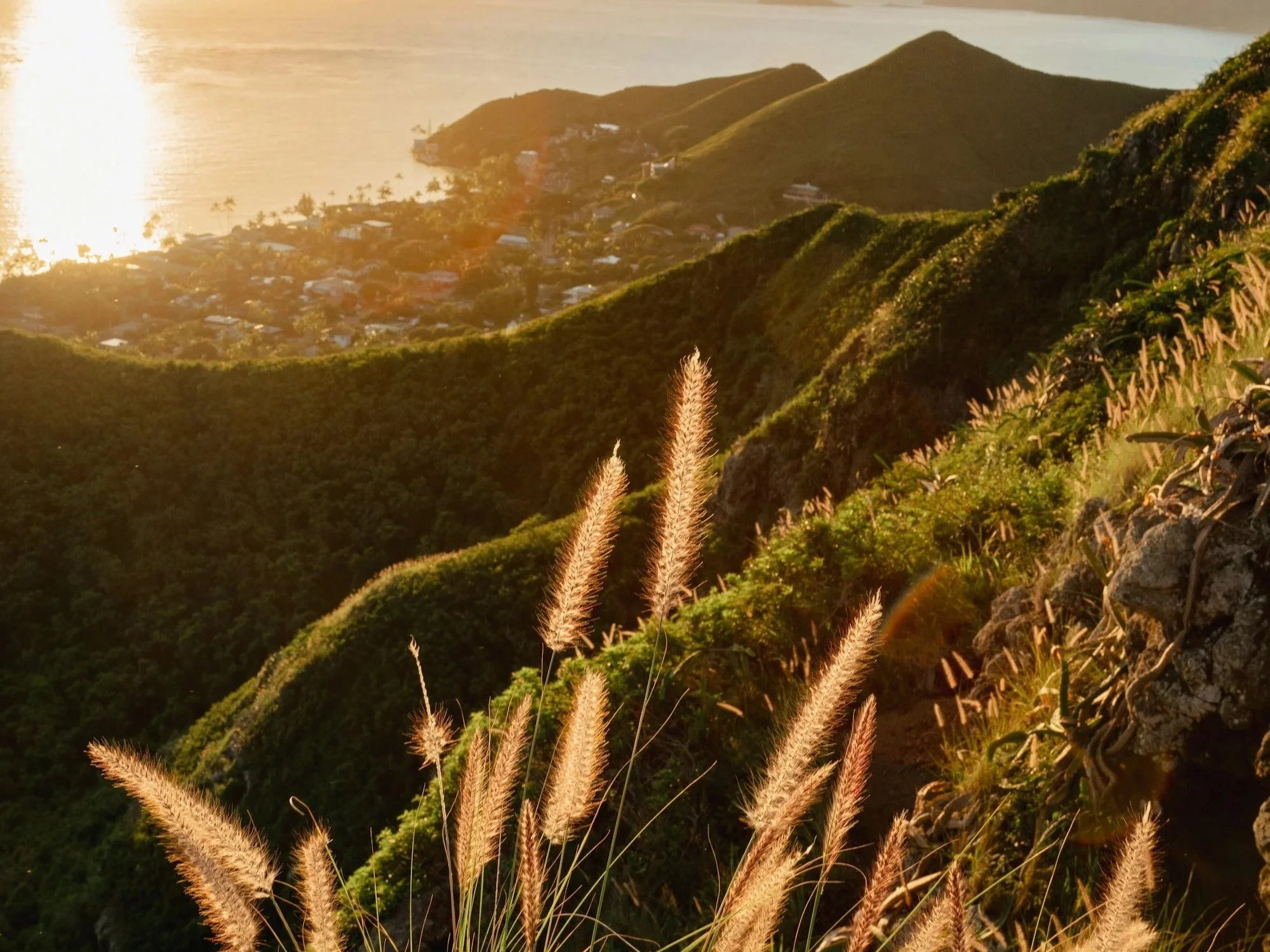 a mountain lookout on Oahu, Hawaii