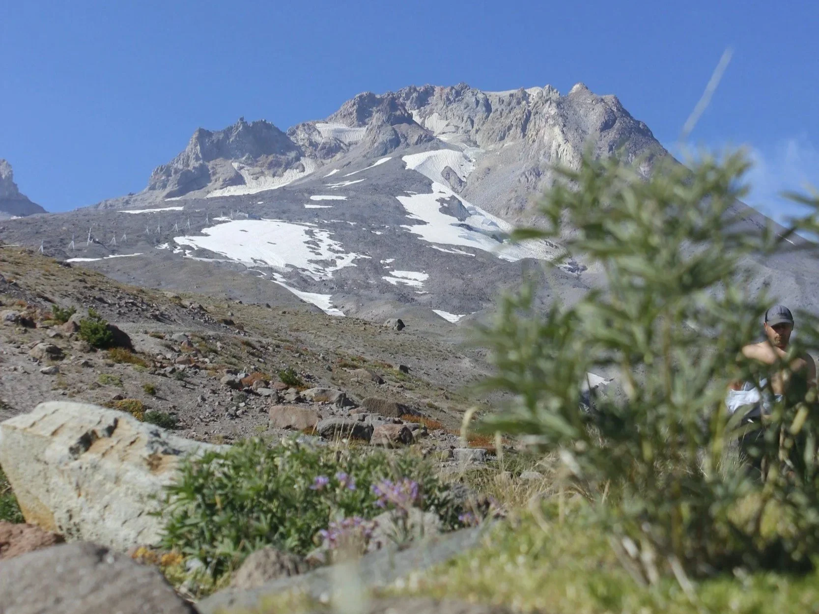 Mt Hood from Timberline Lodge