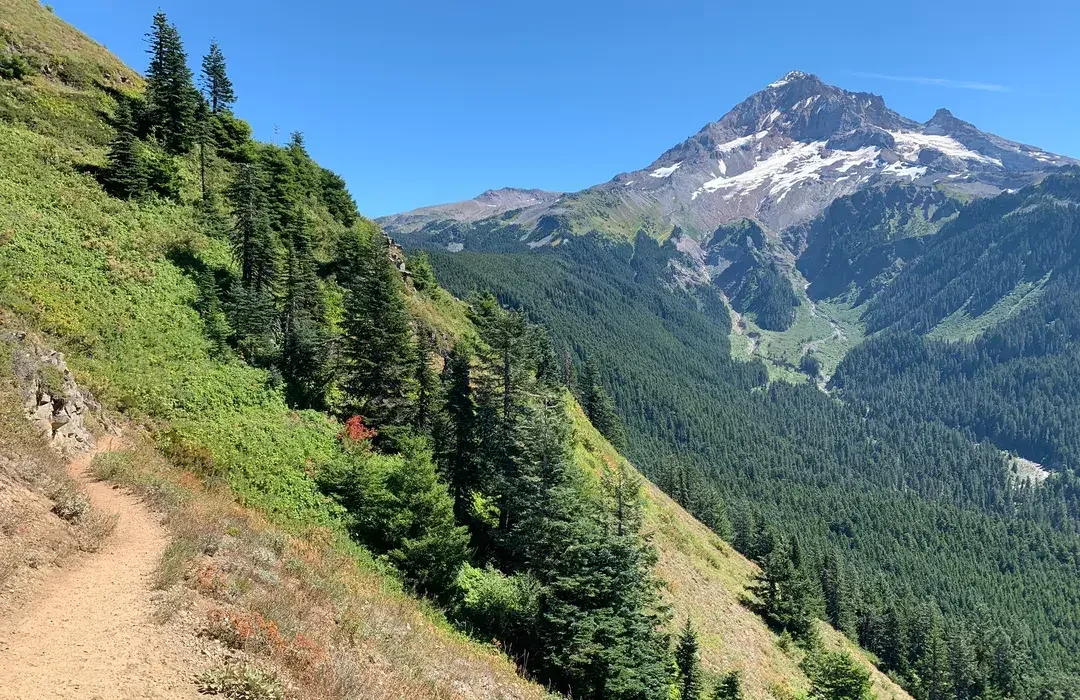 landscape of the Bald Mountain Overlook in Mt Hood