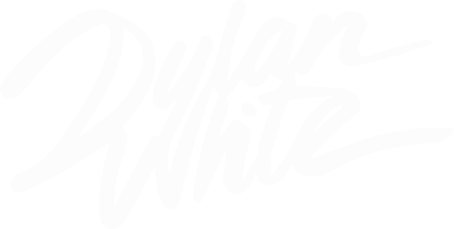 Dylan White Art