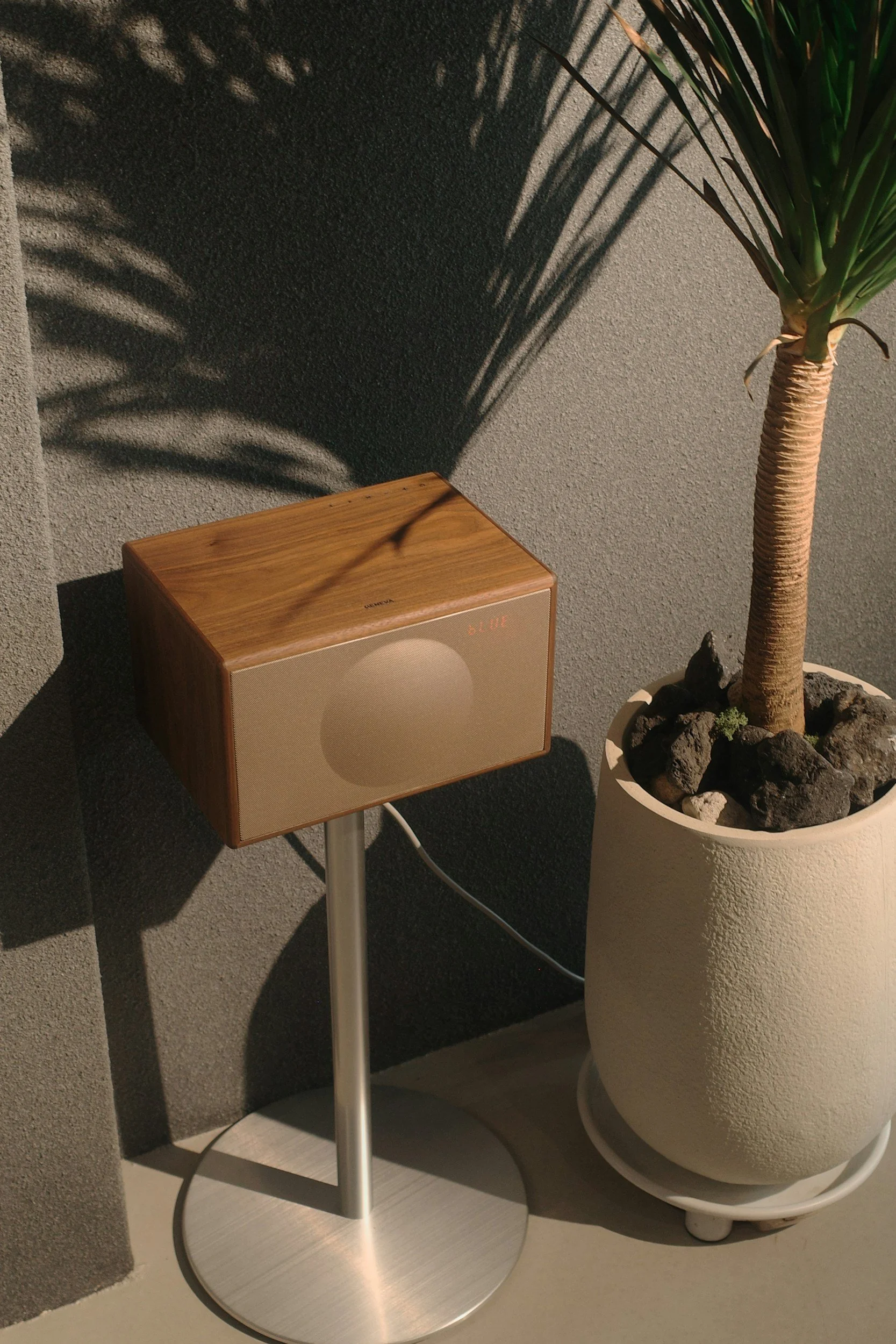 A wooden speaker on a silver stand next to a potted palm tree with rocks at the base, casting shadows on a textured gray wall.