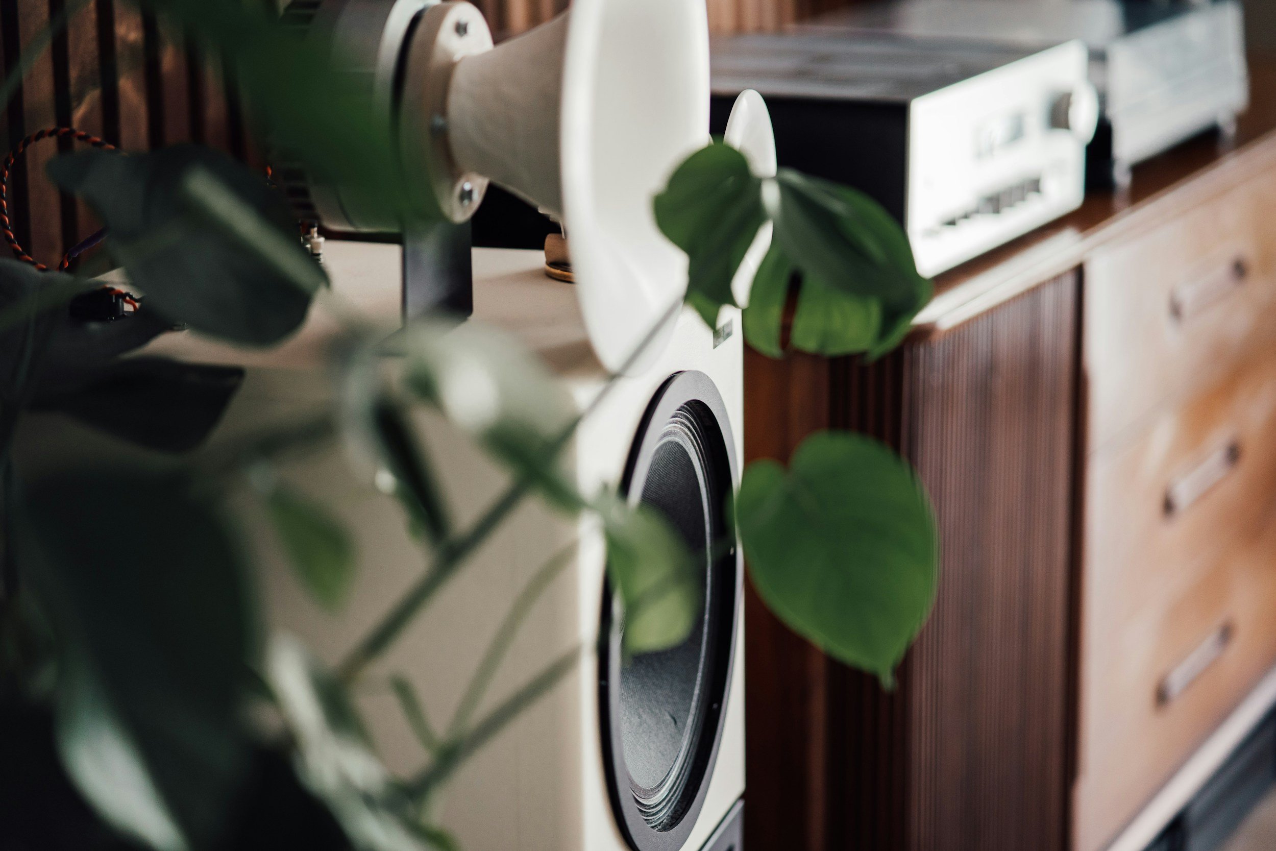 Close-up of a vintage speaker on a wooden cabinet with green leafy plant in the foreground.