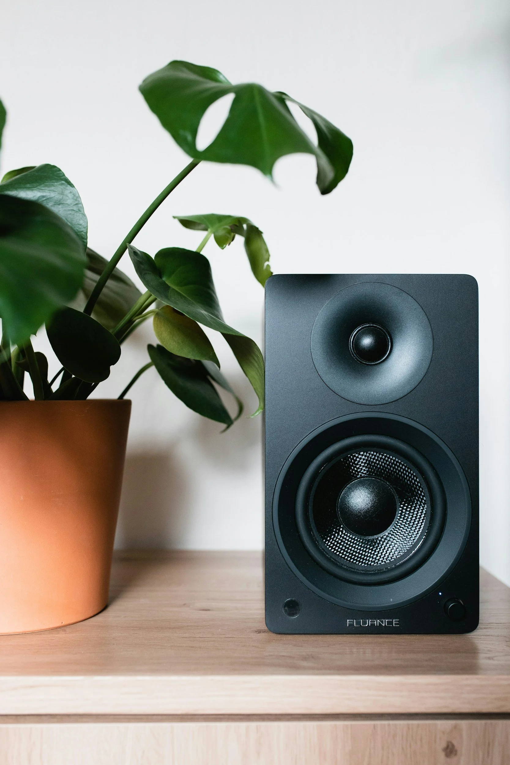 A black studio monitor speaker placed on a light wood surface next to a potted green plant, with a white wall in the background.