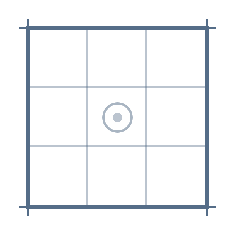 A diagram of a vinyl record inside a rectangular case with a grid pattern, showing a circular record with a central hole and a spiked circle around it.