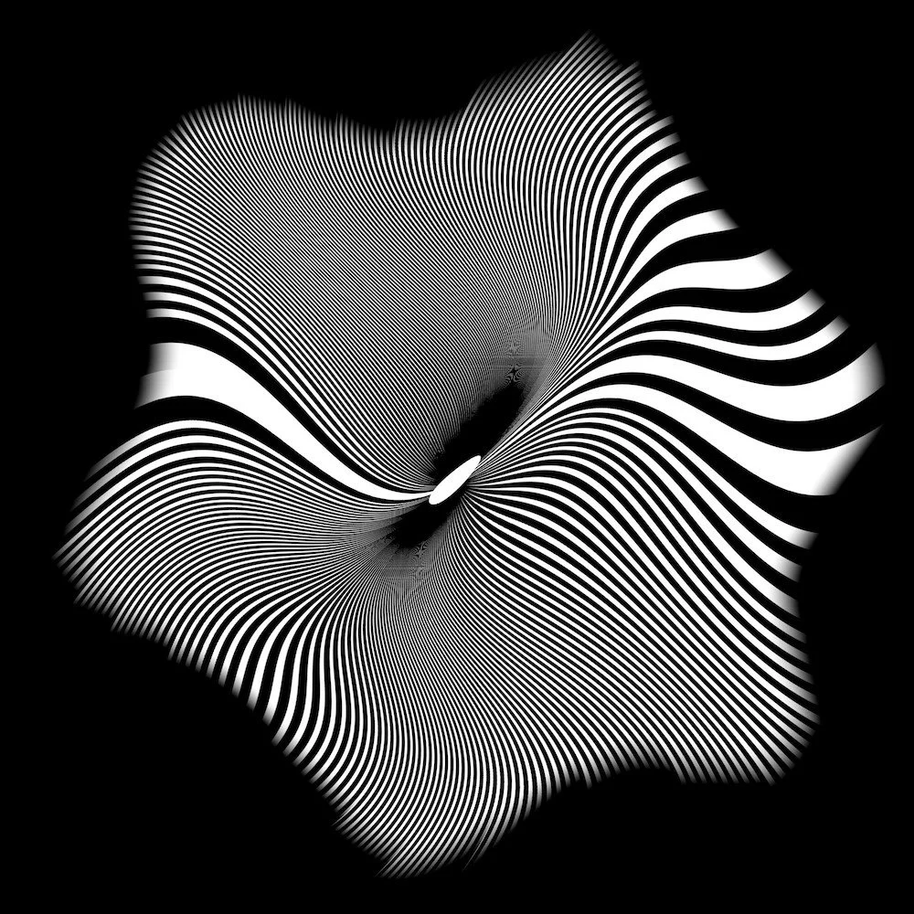 Black and white abstract optical illusion with curved lines creating a tunnel-like effect.