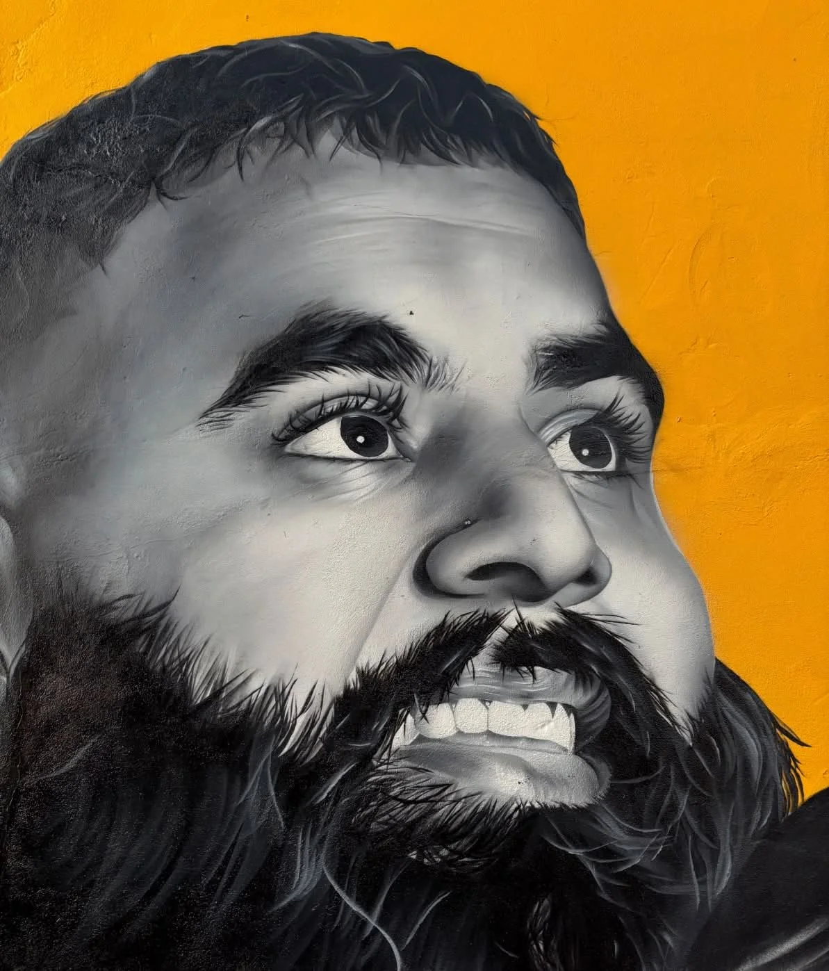 Wolverhampton Wanderers for Global Street Art