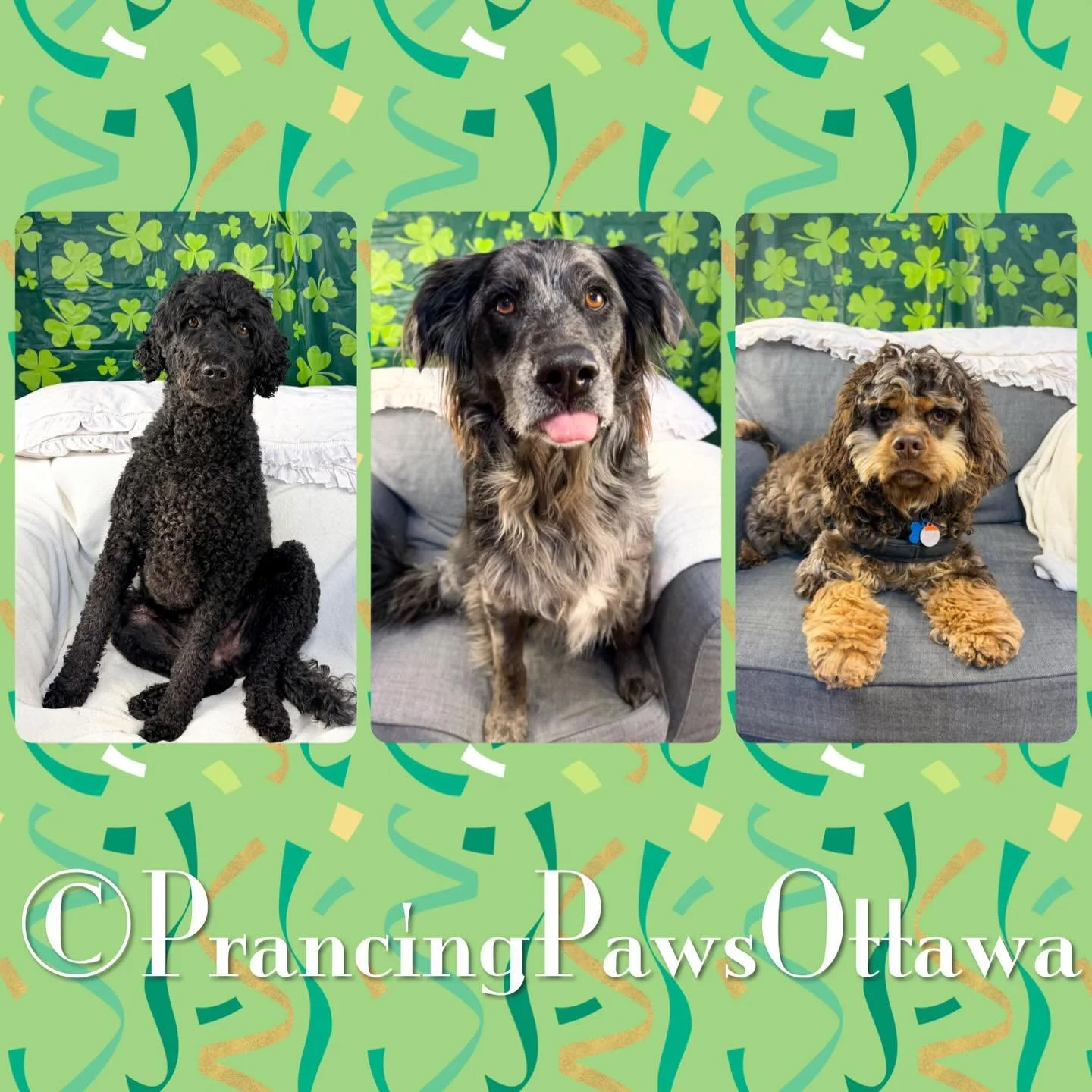 640458164_18071889869626478_6947086708698811721_n (1).jpg