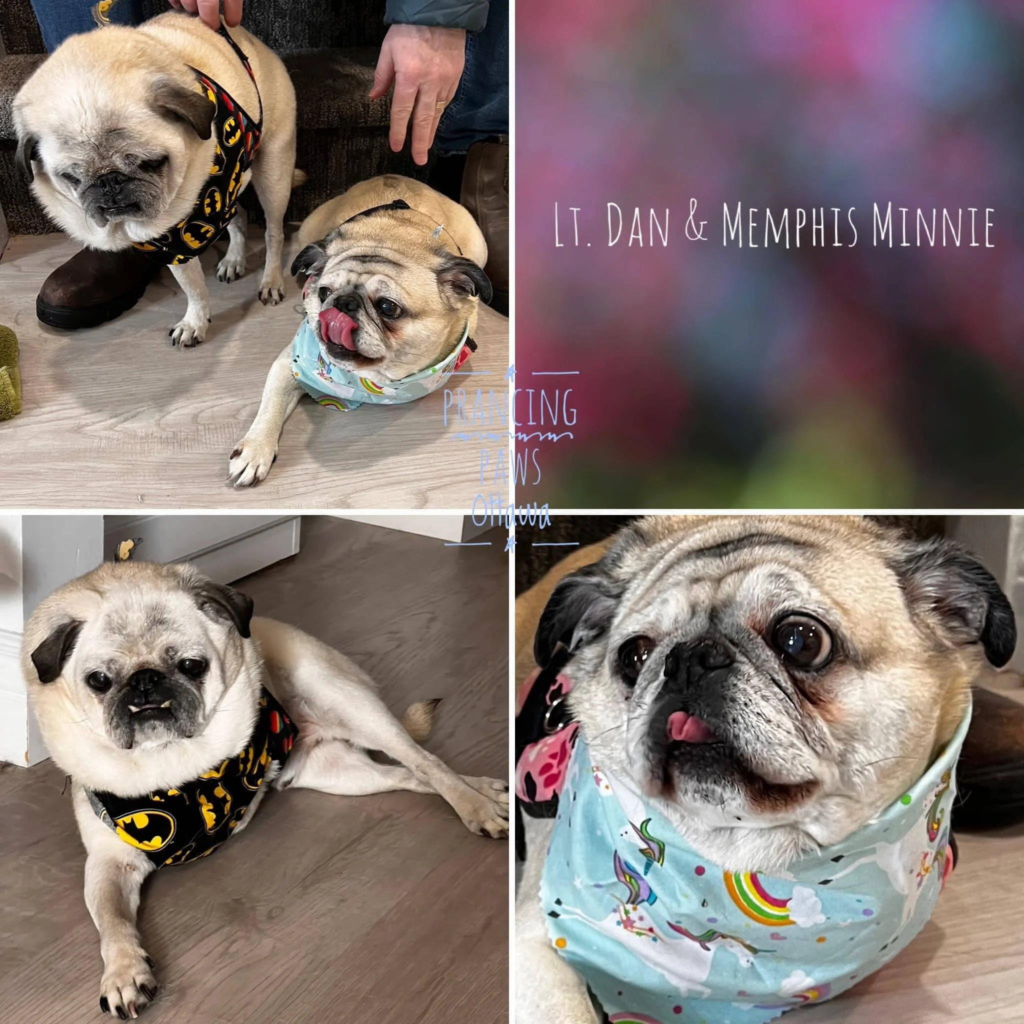 Lt. Dan and Memphis Minnie