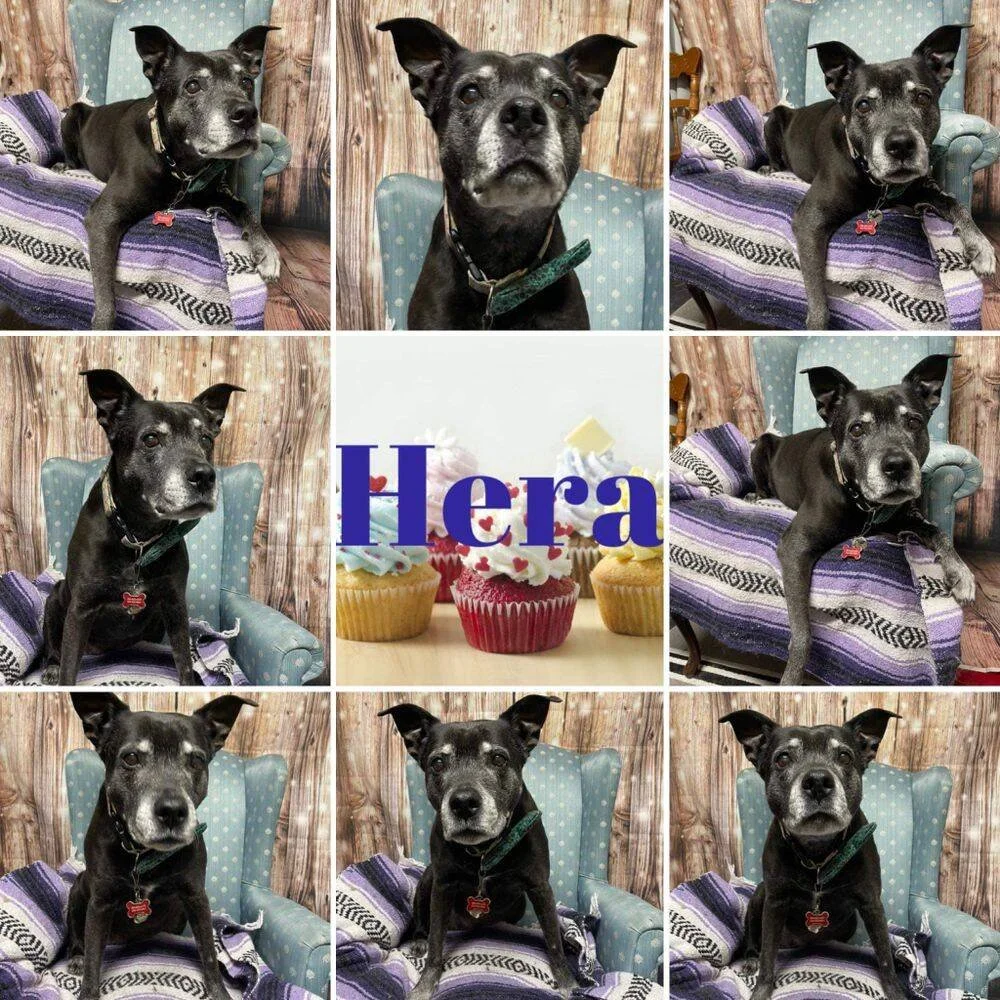 Hera