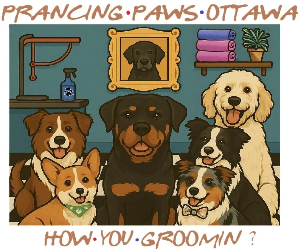 Prancing Paws Ottawa