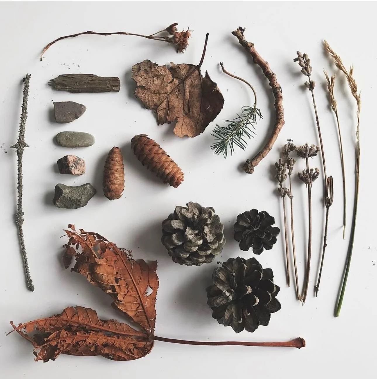 Sunny, hallelujah ☀️