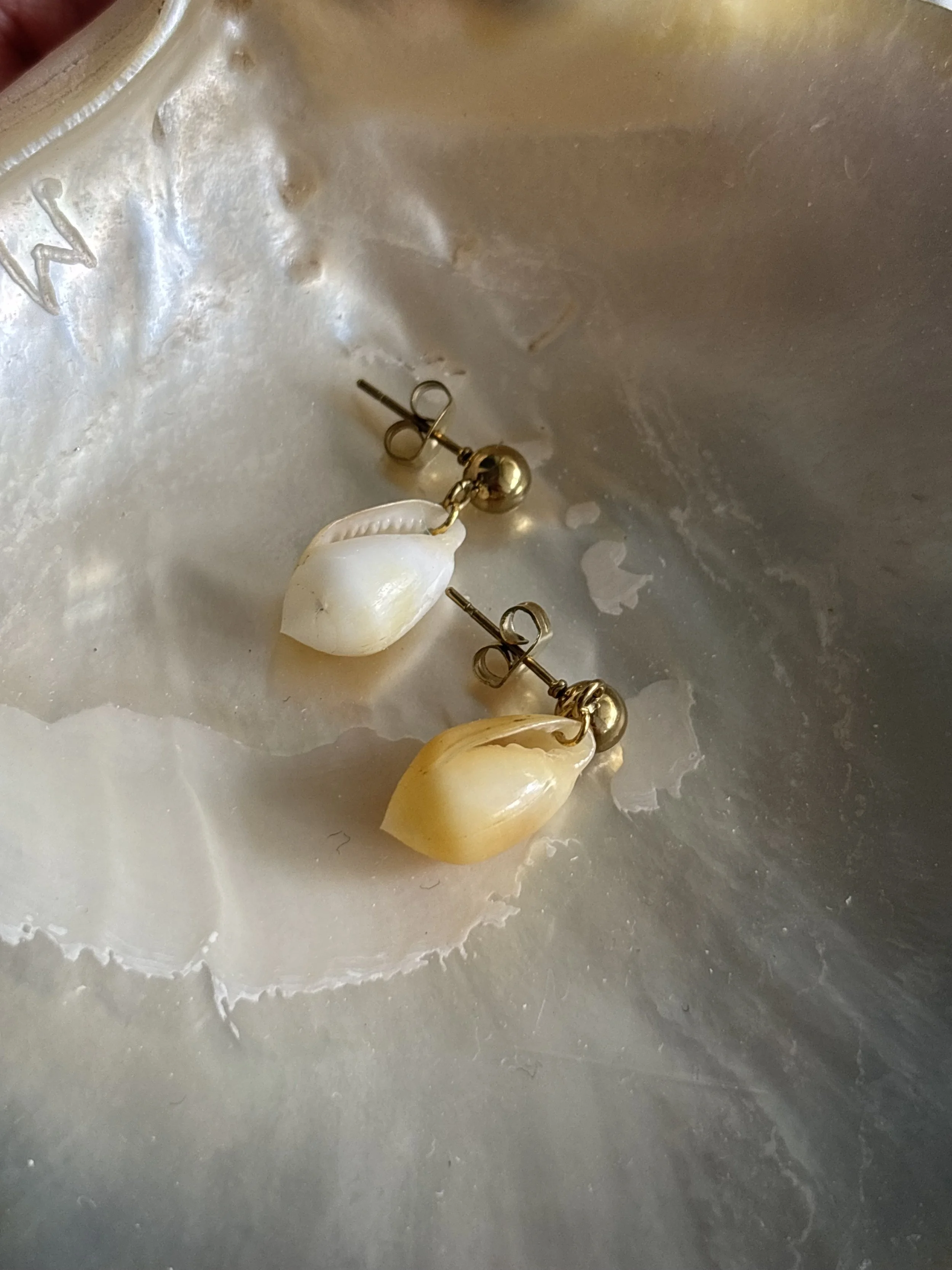 Boucles Prunum Apicinum jaune