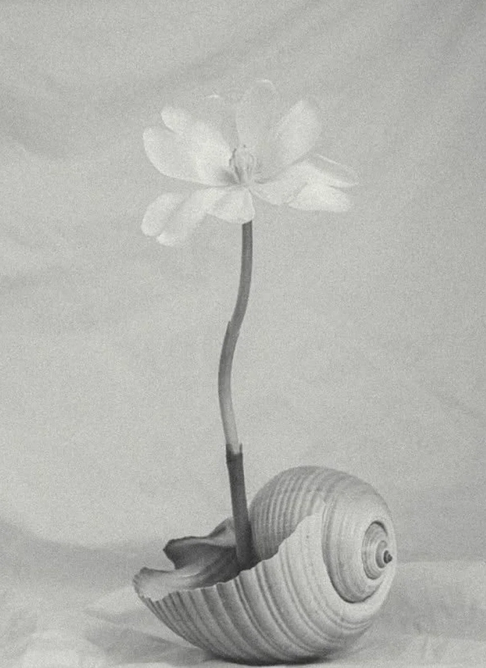 Malestar emocional-psicologia-terapia-económica