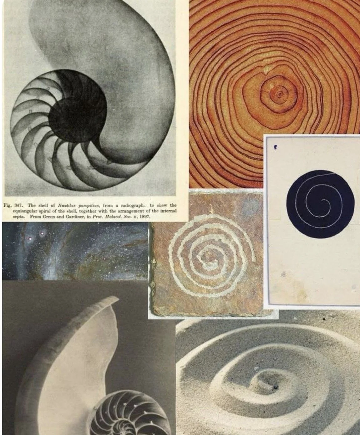 Psicología-talleres-retiros-España-online