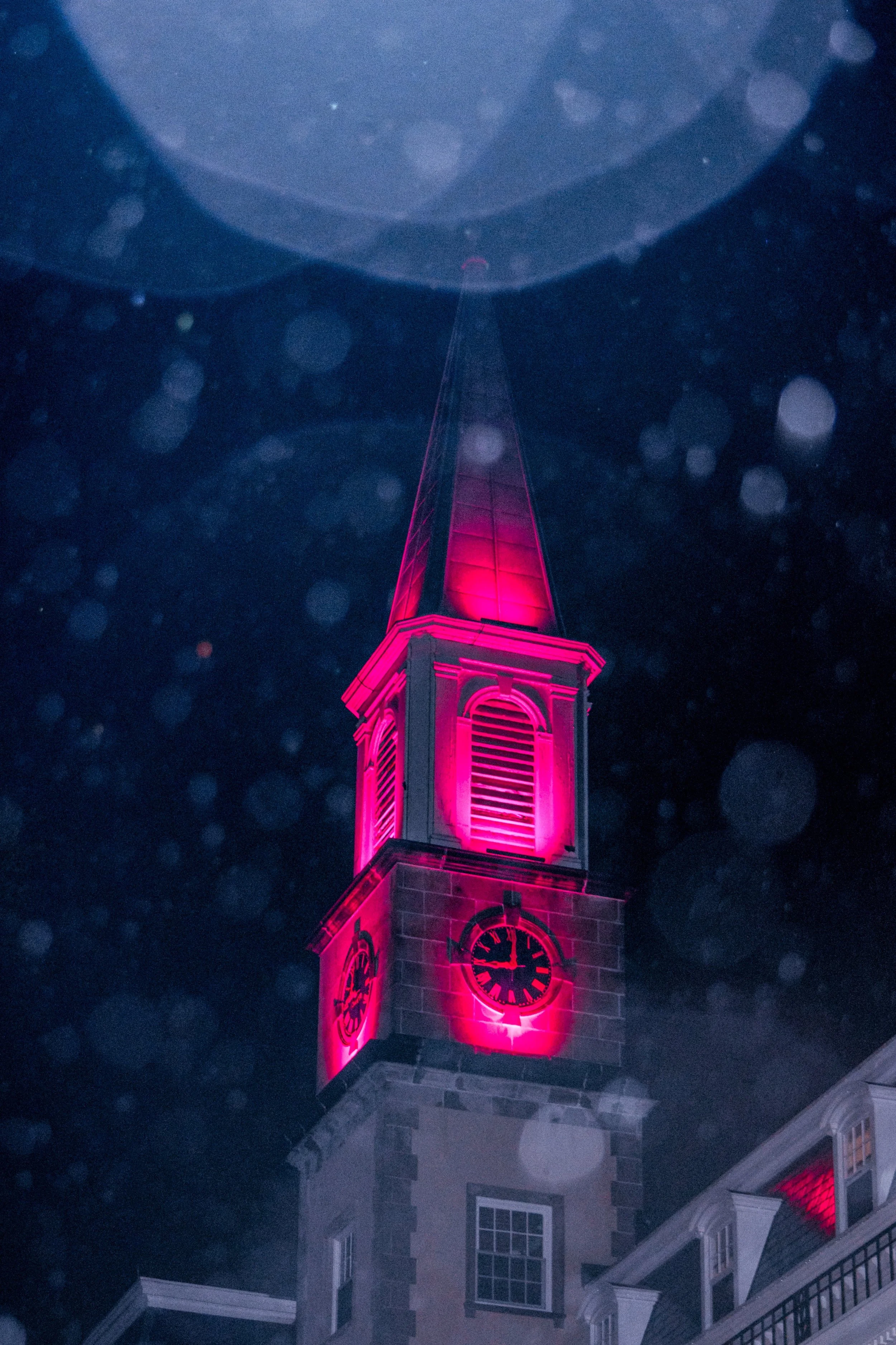 DSC_0931.jpg