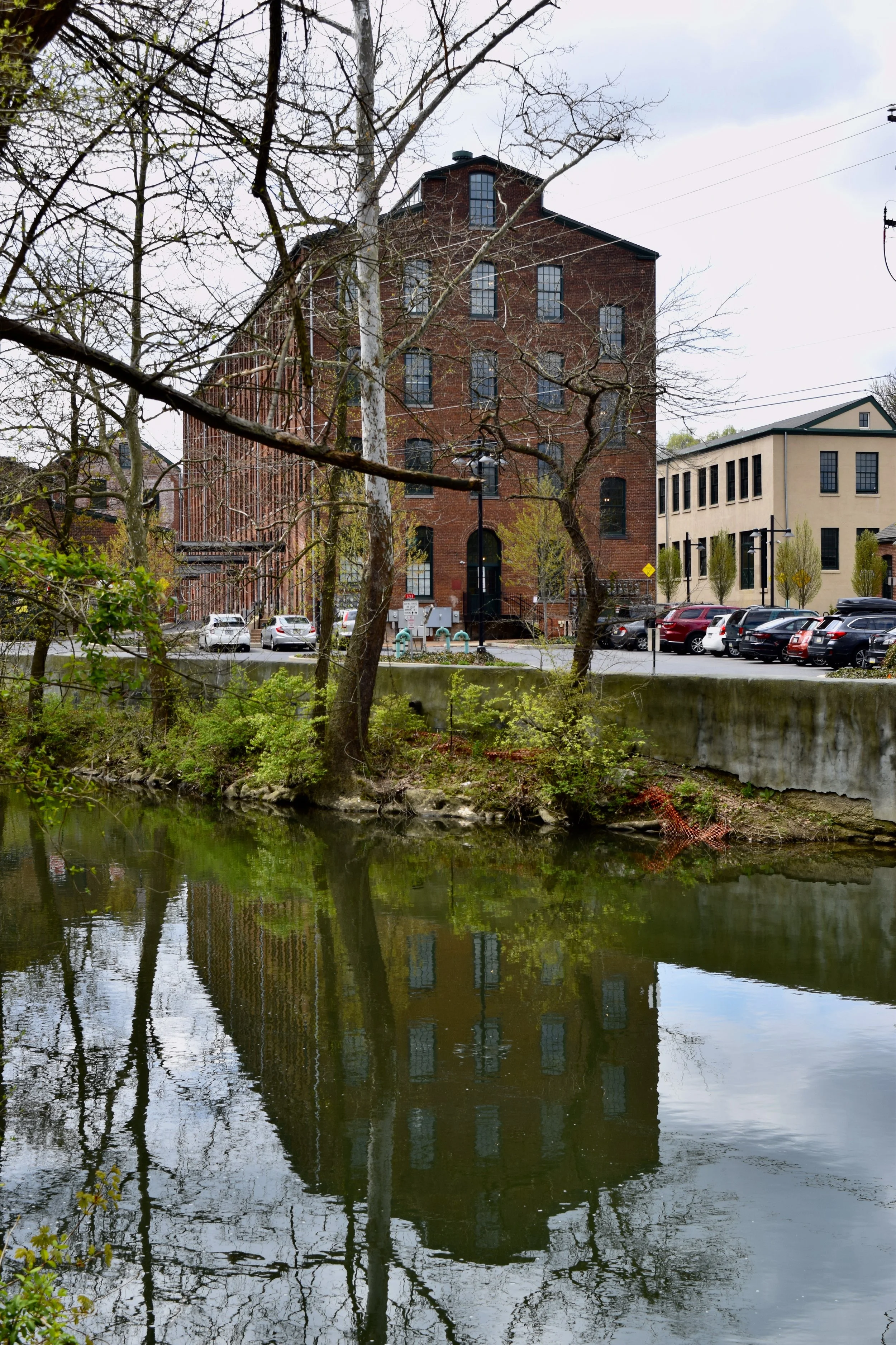 DSC_0776.JPG