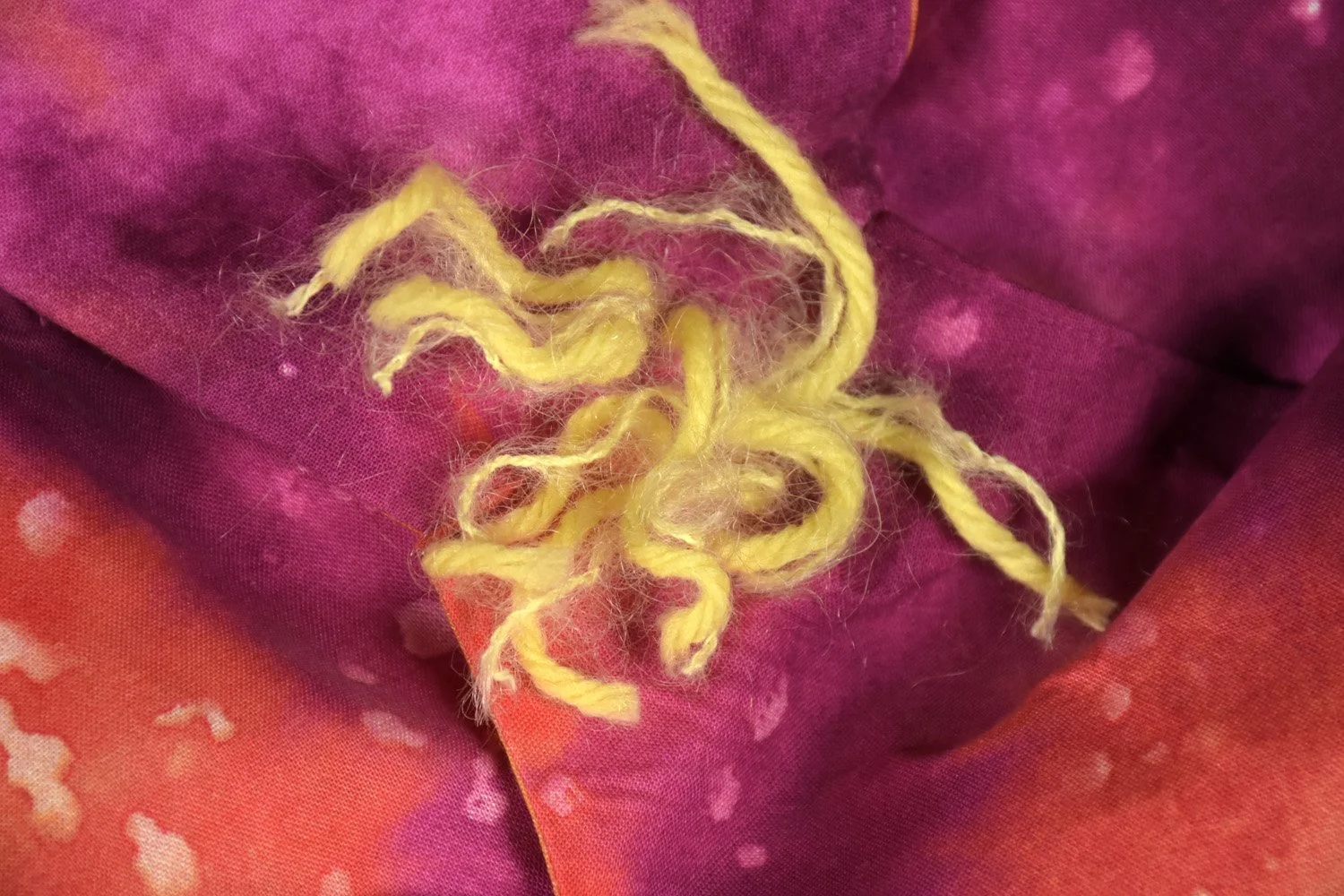 01_Garden_EBM1225.jpg