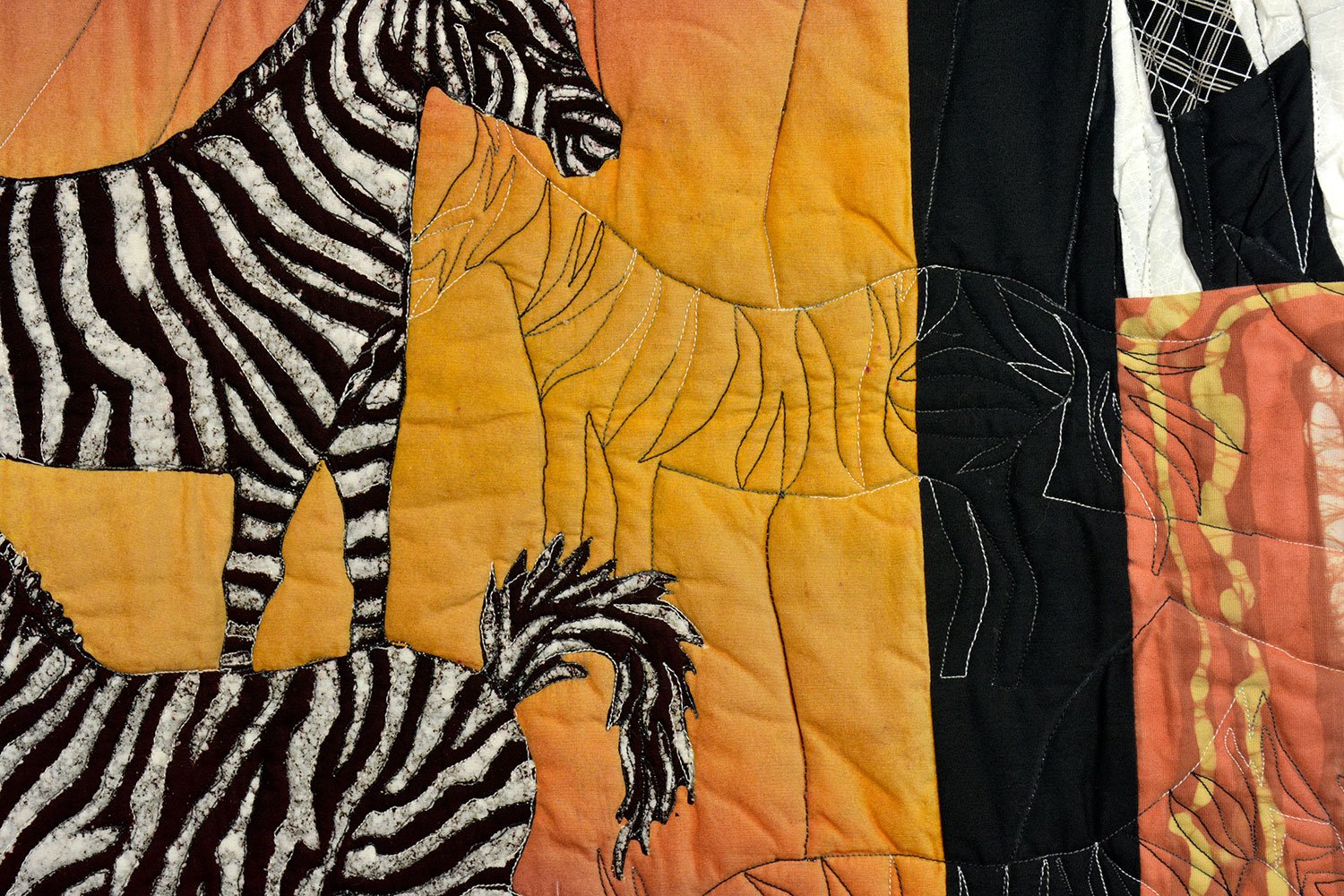 45_ZebraW_EBM1738.jpg
