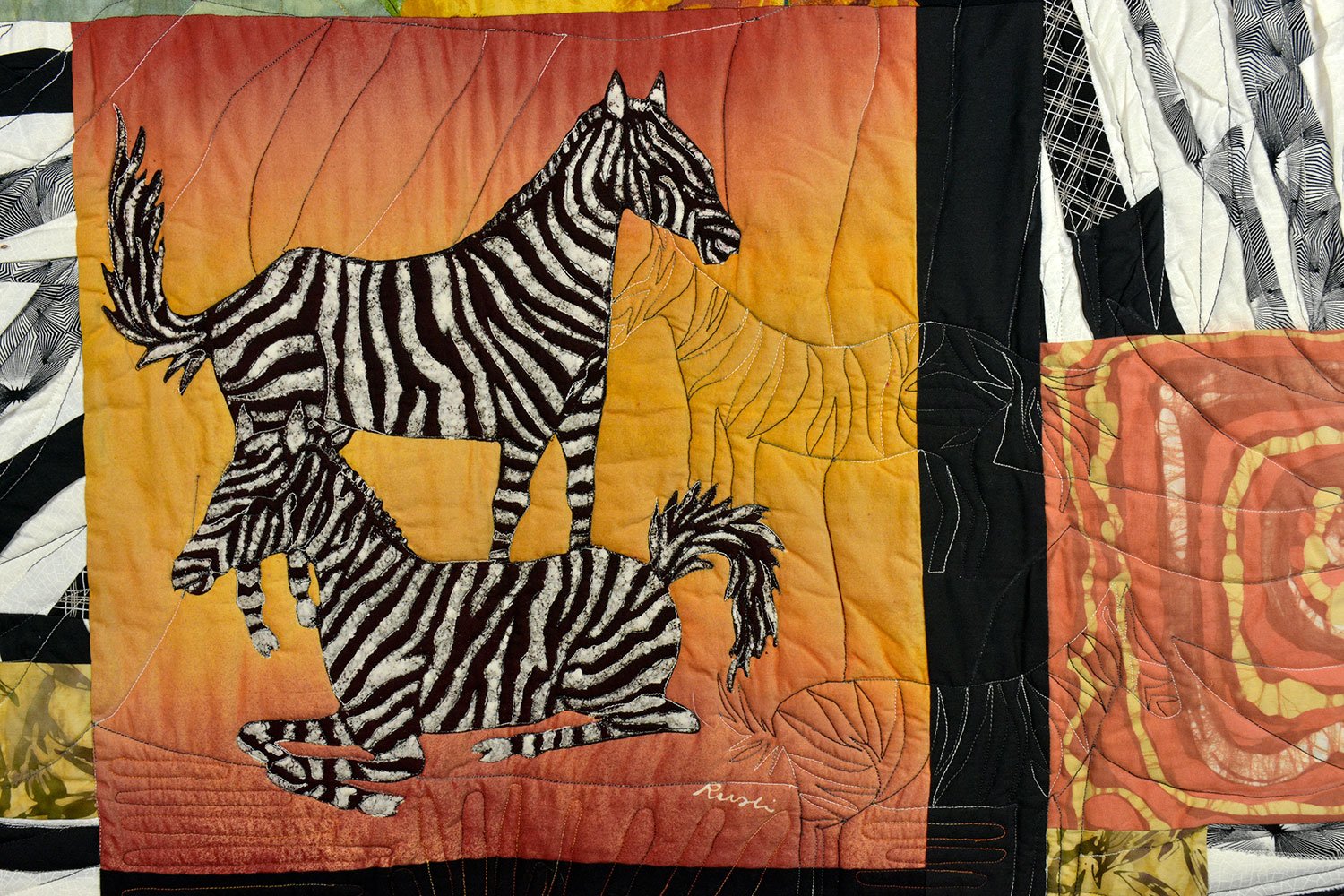 45_ZebraW_EBM1739.jpg