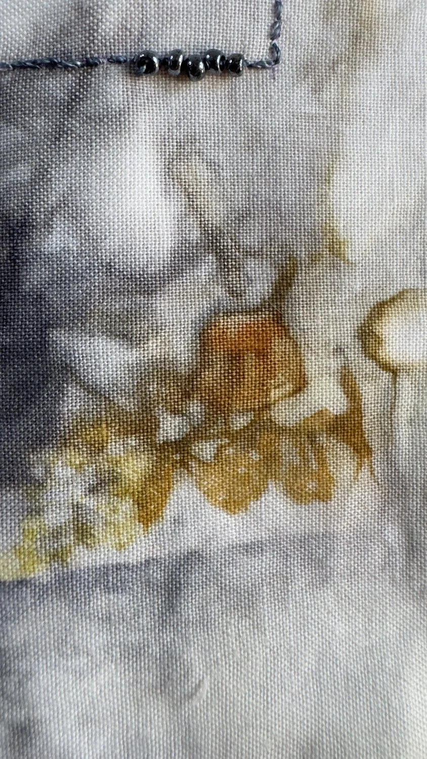 126_BotanicalComposition_3512.jpg