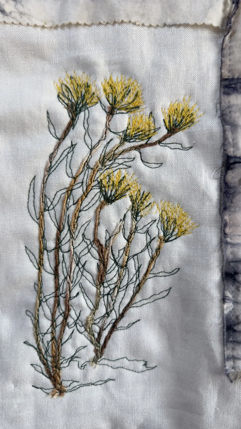 126_BotanicalComposition_3509.jpg