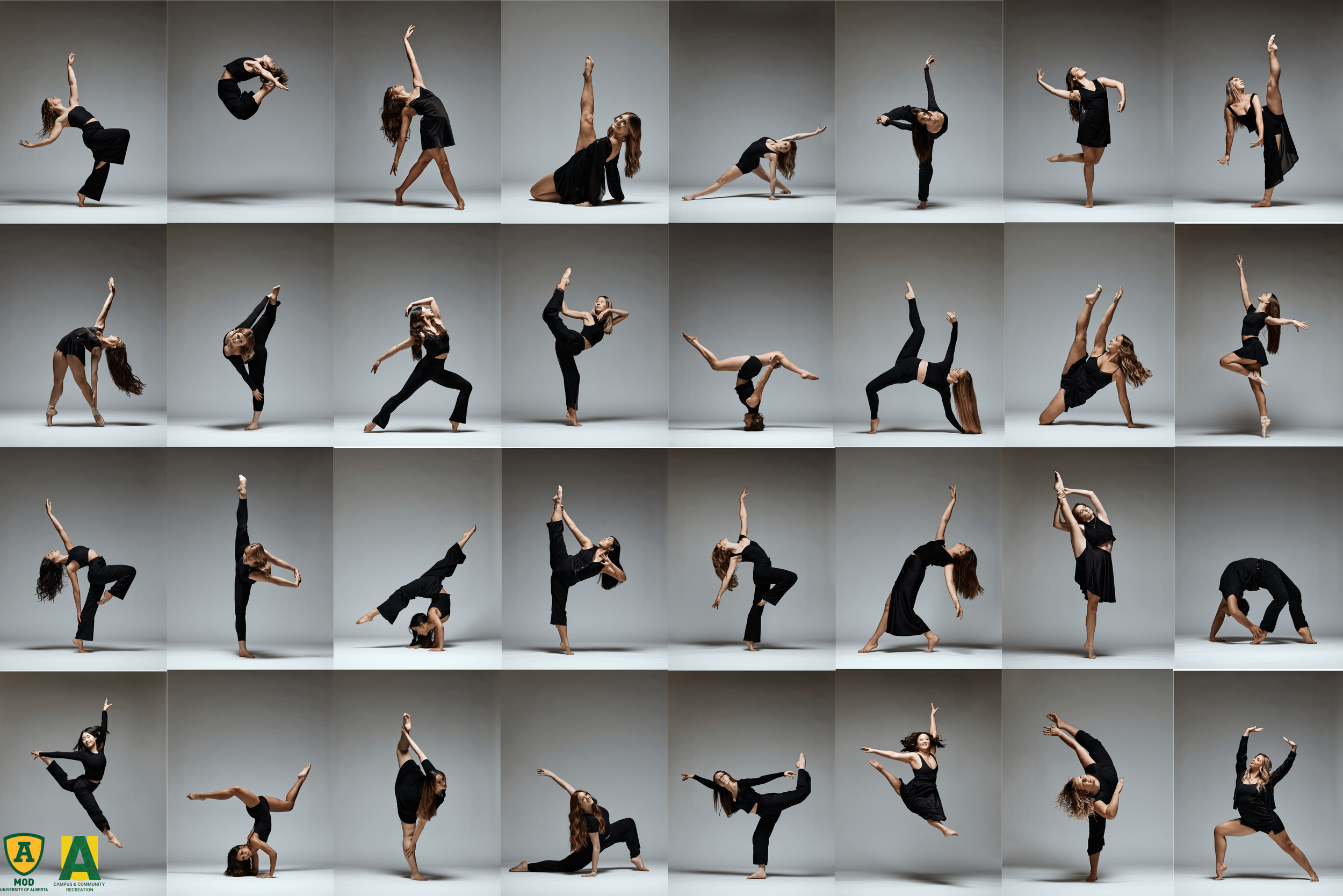 Image by Alexis McKeown