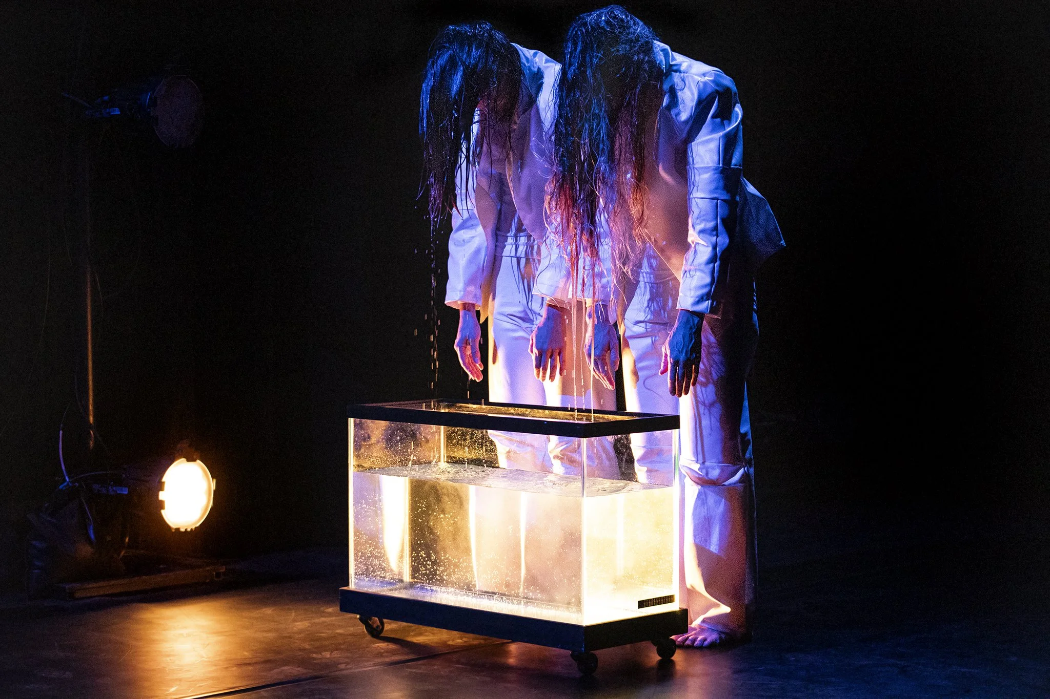 Good Women Dance Collective