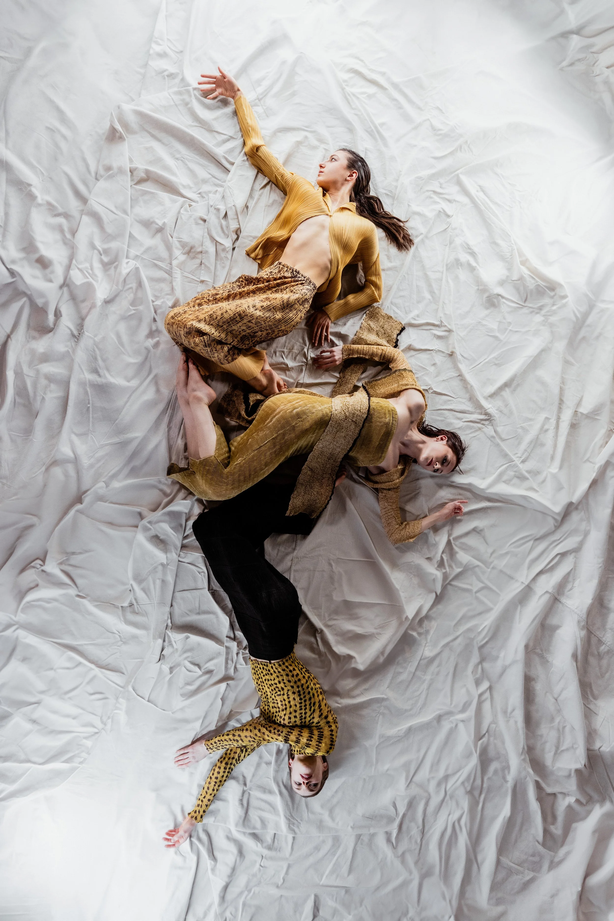 Image by Peter Smida