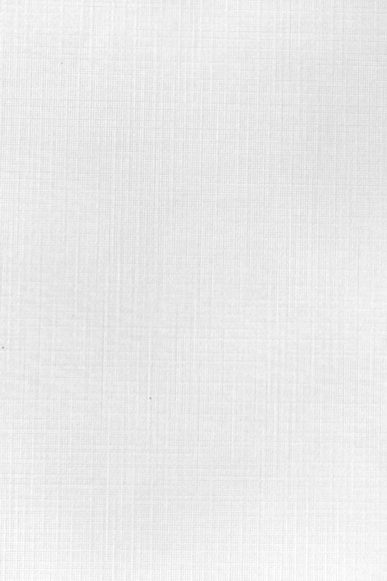 A blank white textured surface with faint grid lines.