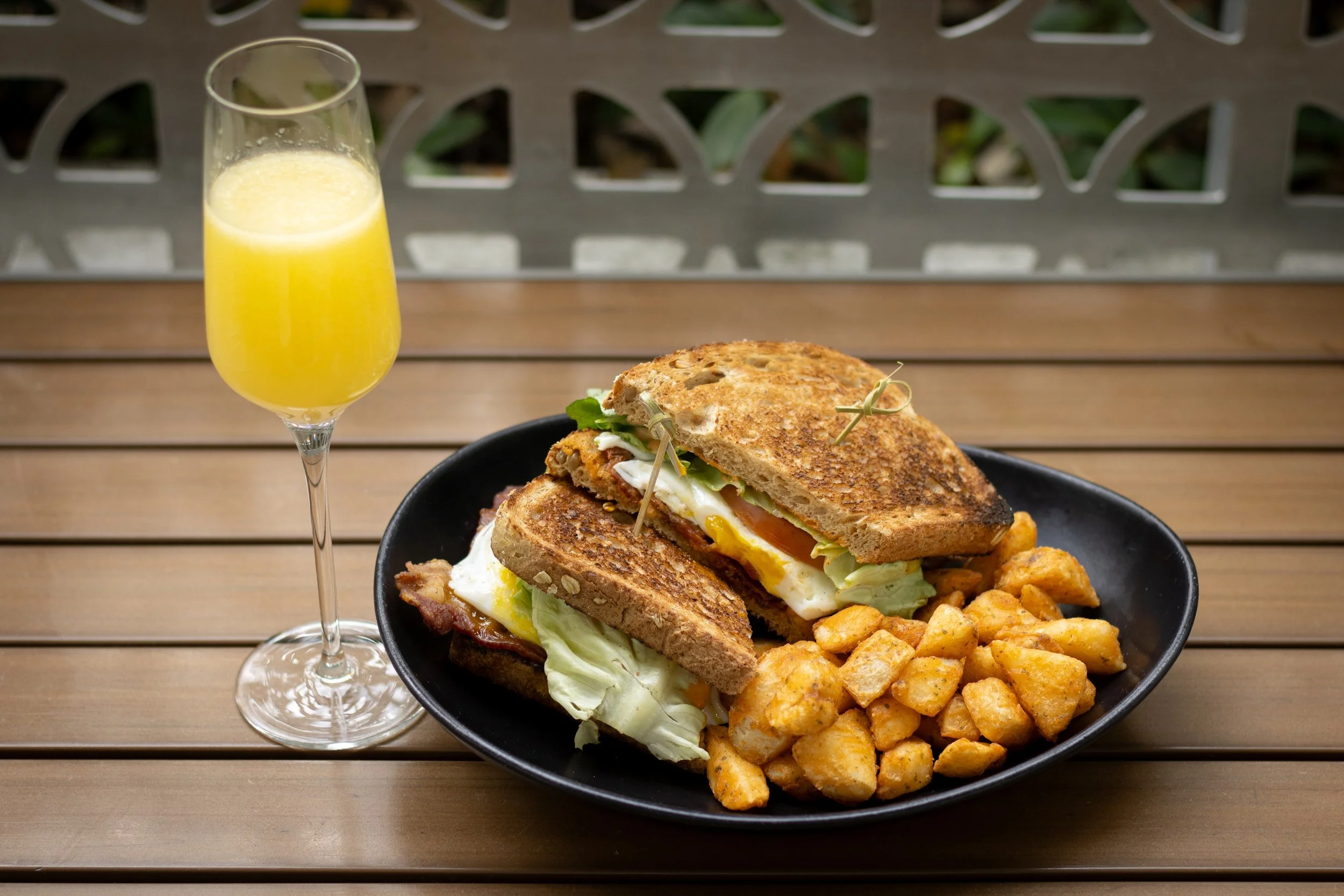 WINK Brunch 2026-01 -30.jpg