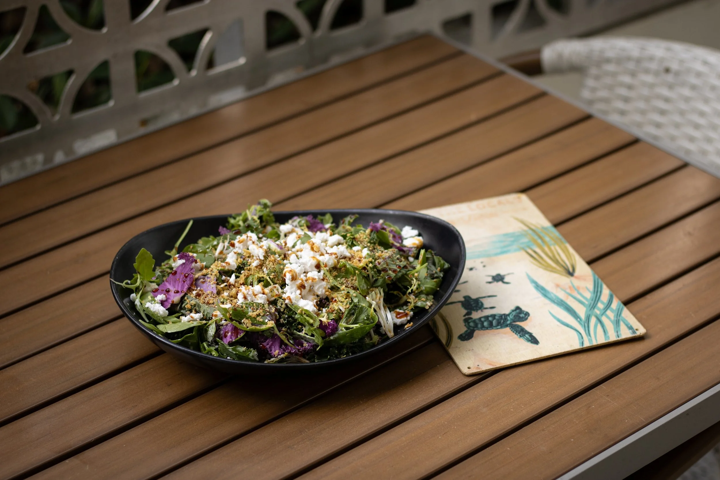 WINK Brunch 2026-01 -03.jpg