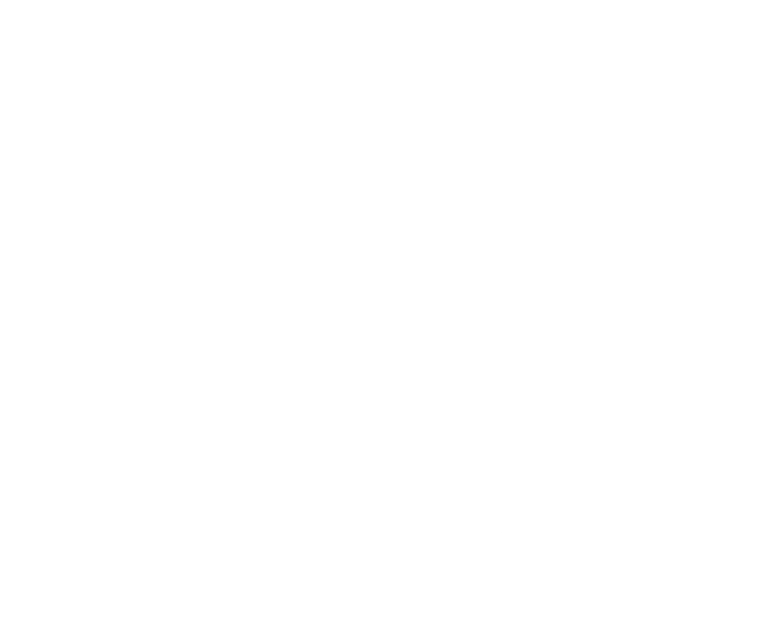 Choupique Accordions