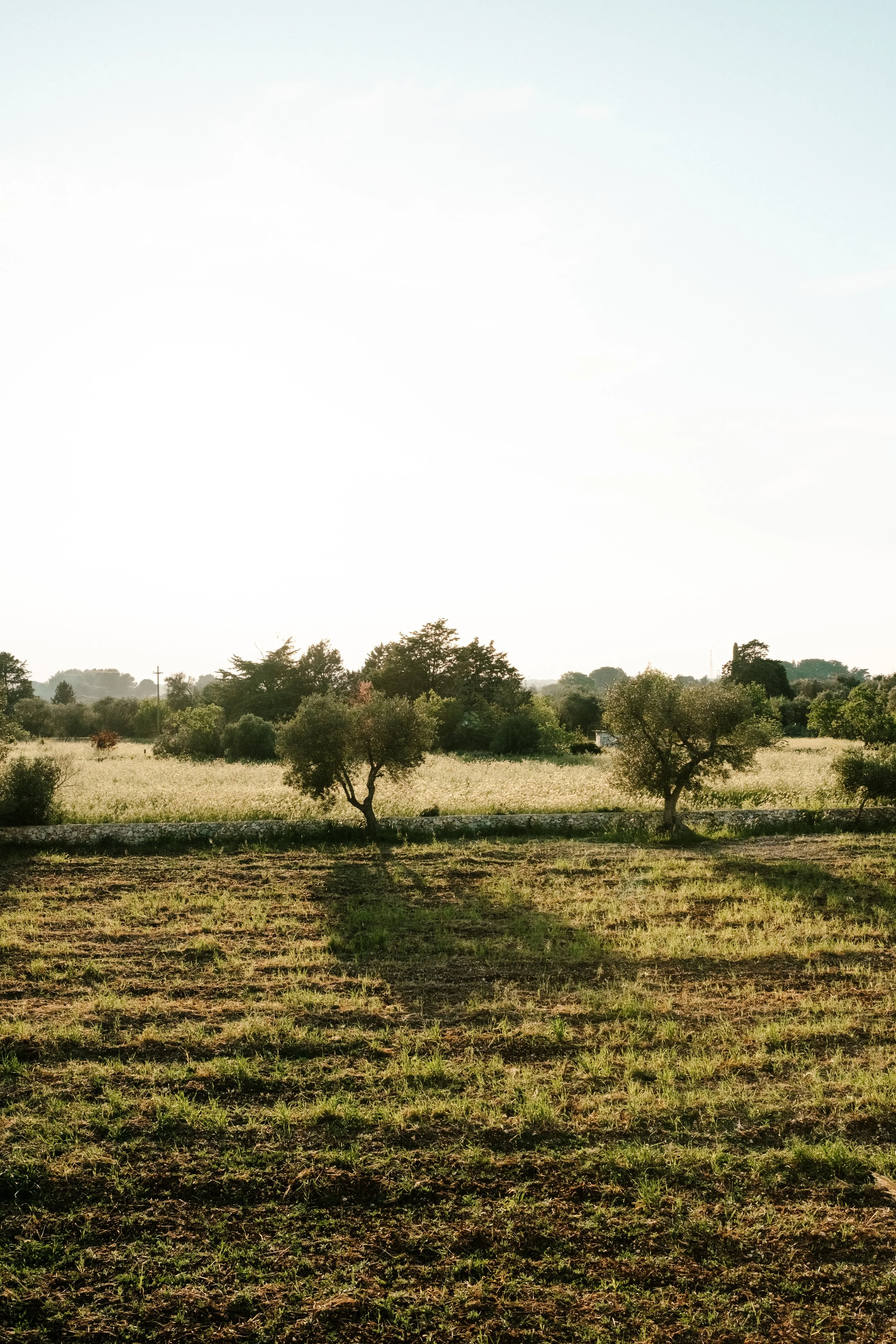Masseria Marfa Carbina 048.jpg