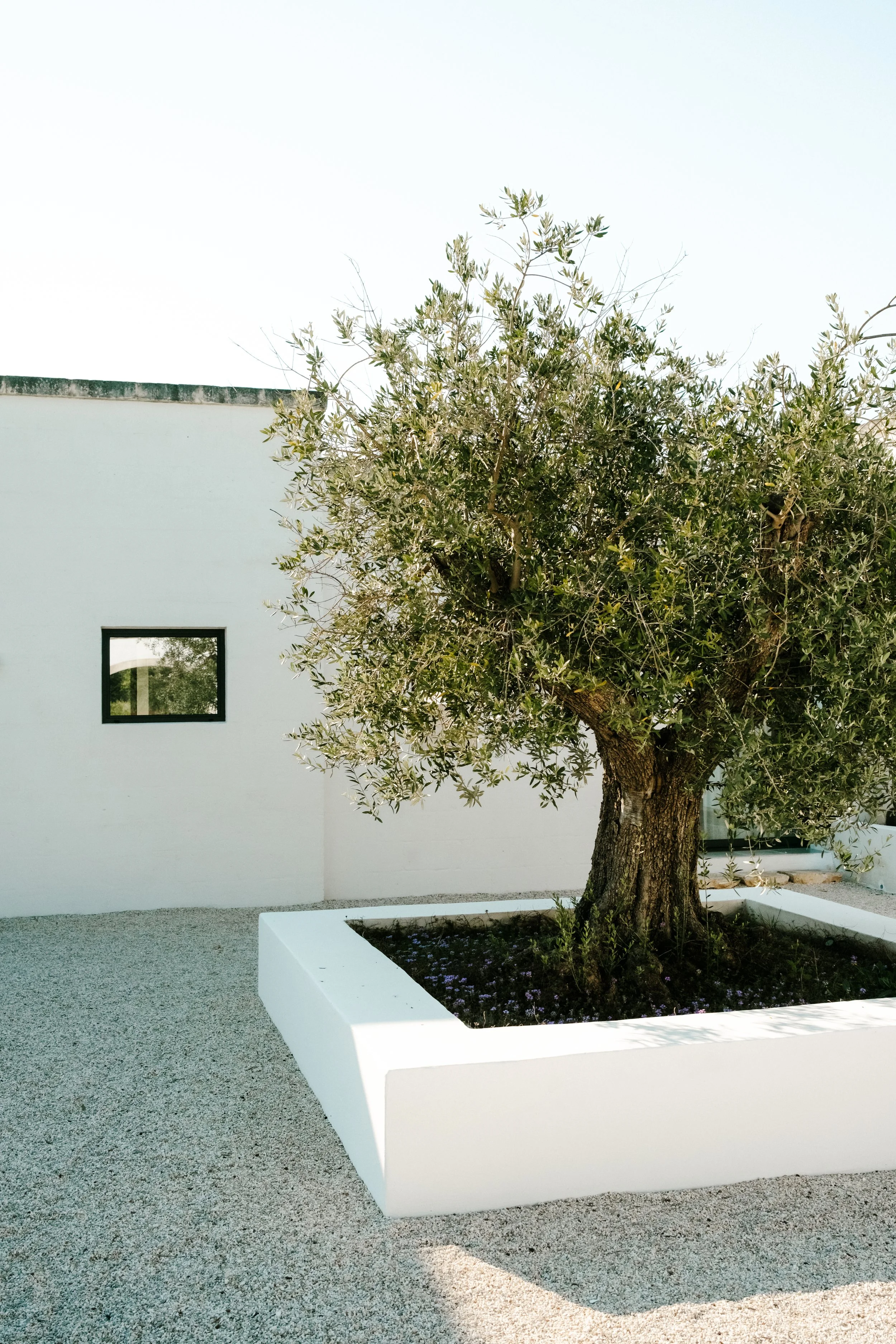 Masseria Marfa Carbina 020.jpg