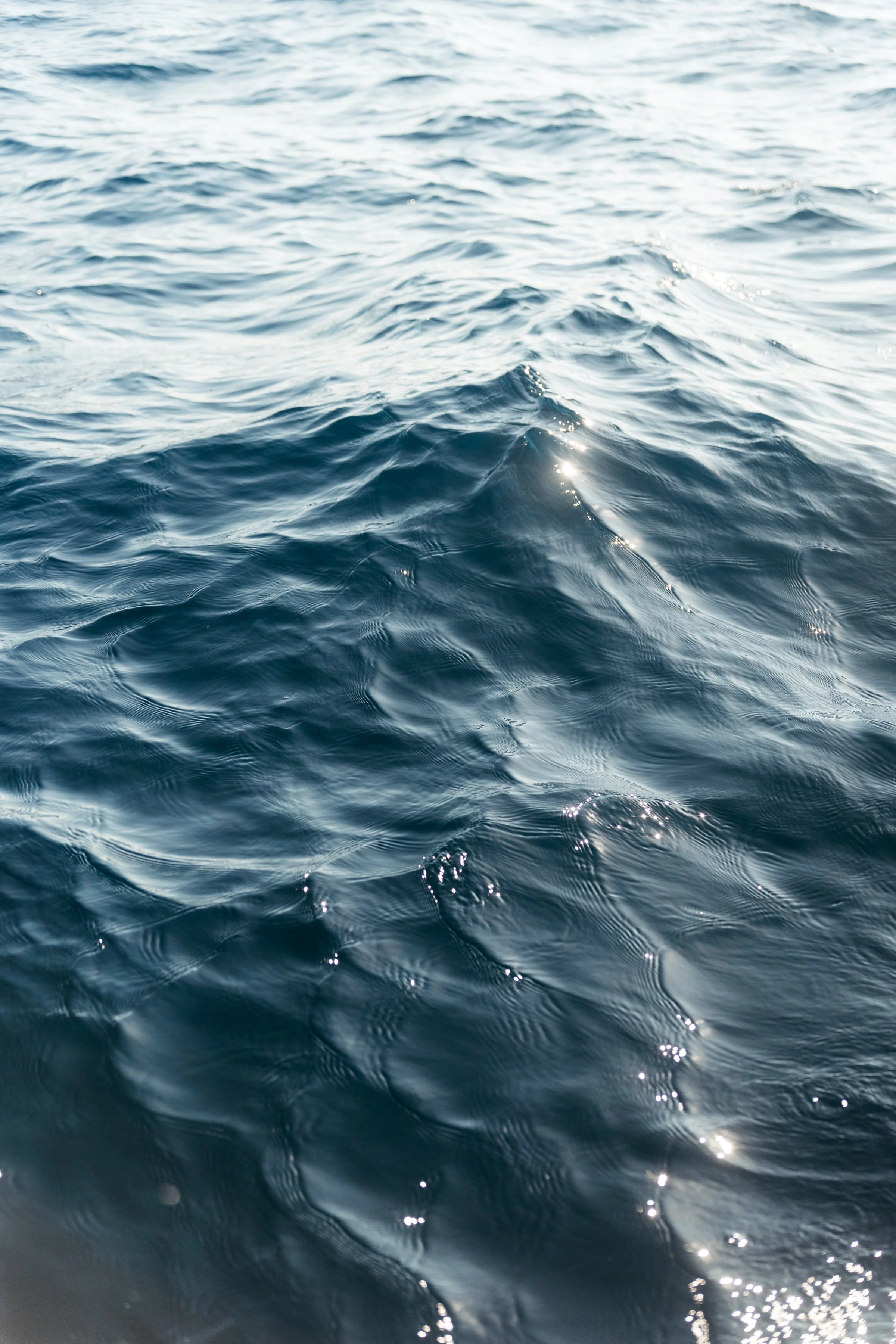 Day 3 Catamaran 083.jpg