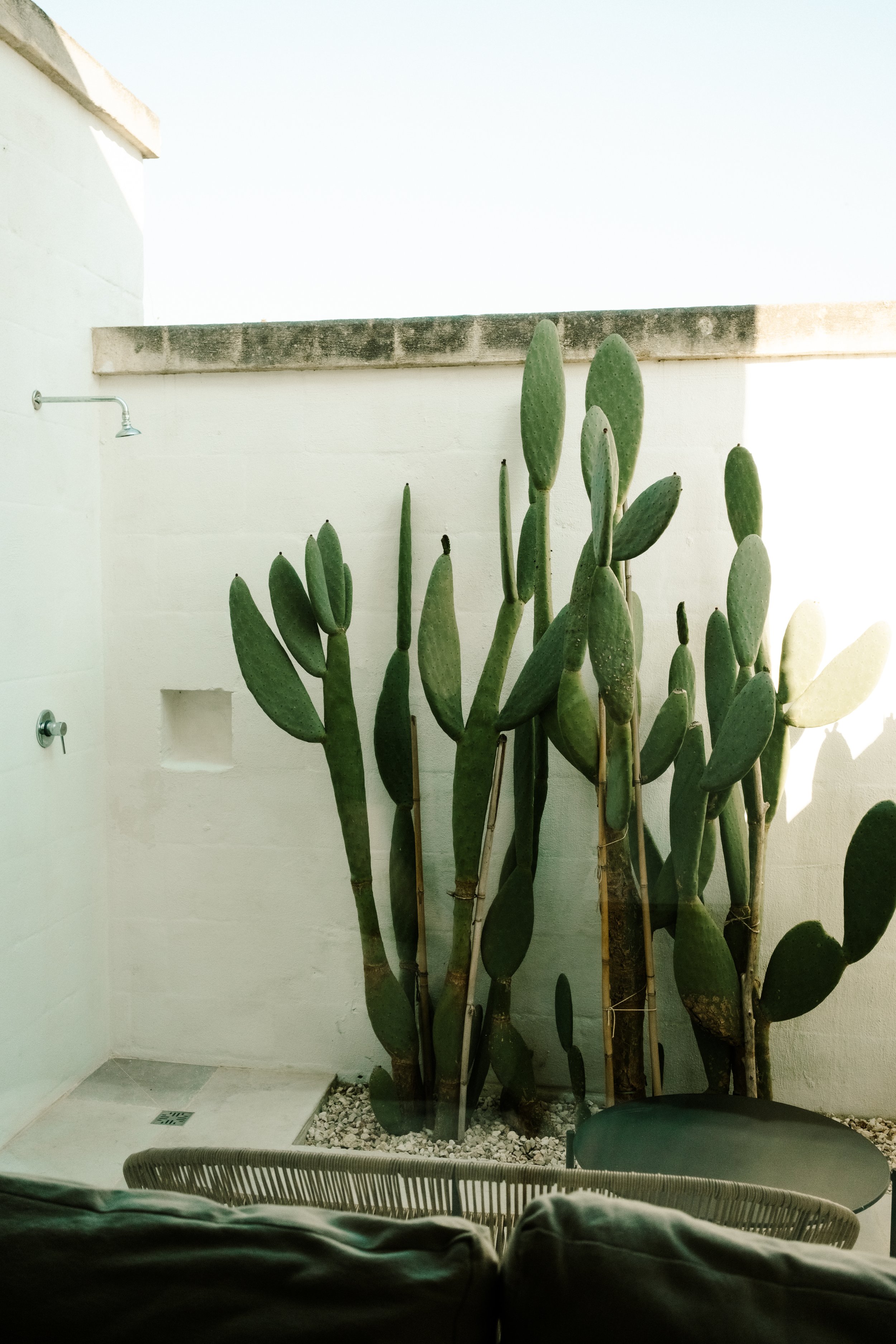 Masseria Marfa Carbina 035.jpg