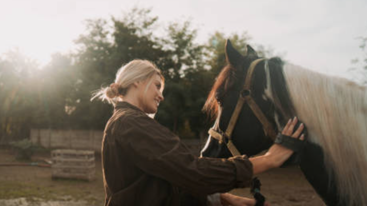 What to Expect from Equine-Assisted Therapy (Even If You’ve Never Been Around Horses)