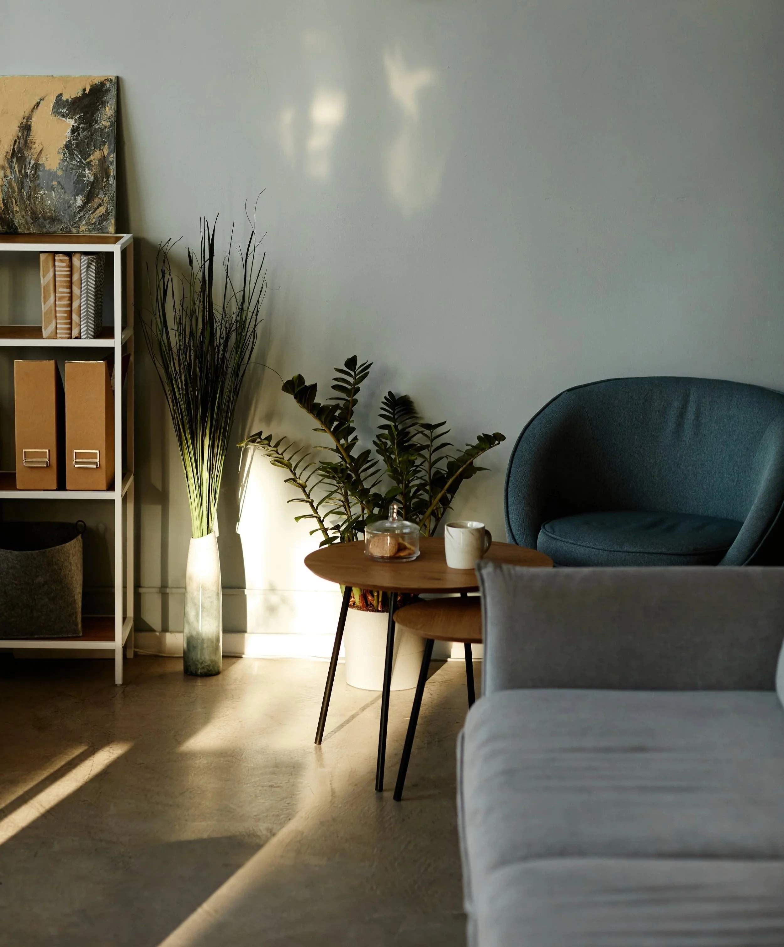 Calm therapy office space representing Deep Brain Reorienting at Waterhorse Counseling in Longmont, Colorado.