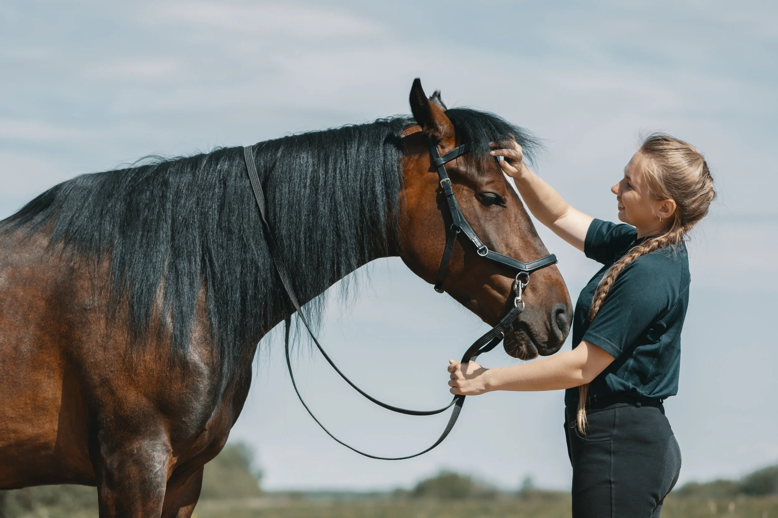 Therapist working with a horse during equine-assisted therapy at Waterhorse Counseling in Longmont, Colorado.