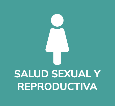 Icon of a female figure with the text 'Salud Sexual y Reproductiva' indicating sexual and reproductive health in Spanish.