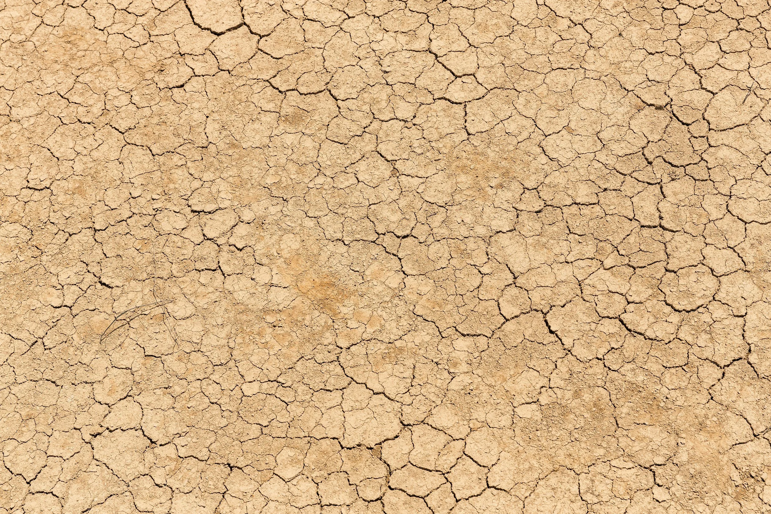 Dry, cracked earth in a desert landscape.